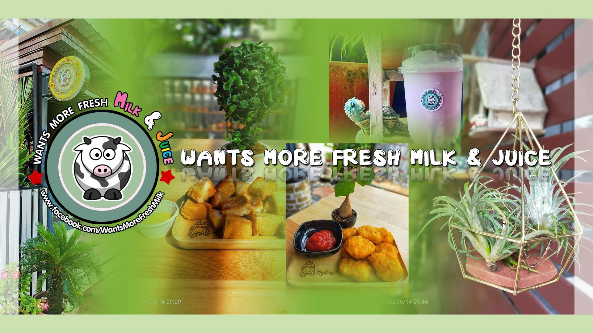 Wants More Fresh Milk & Juice ร้านเครื่องดื่มนมสดและผลไม้ปั่น สั่ง