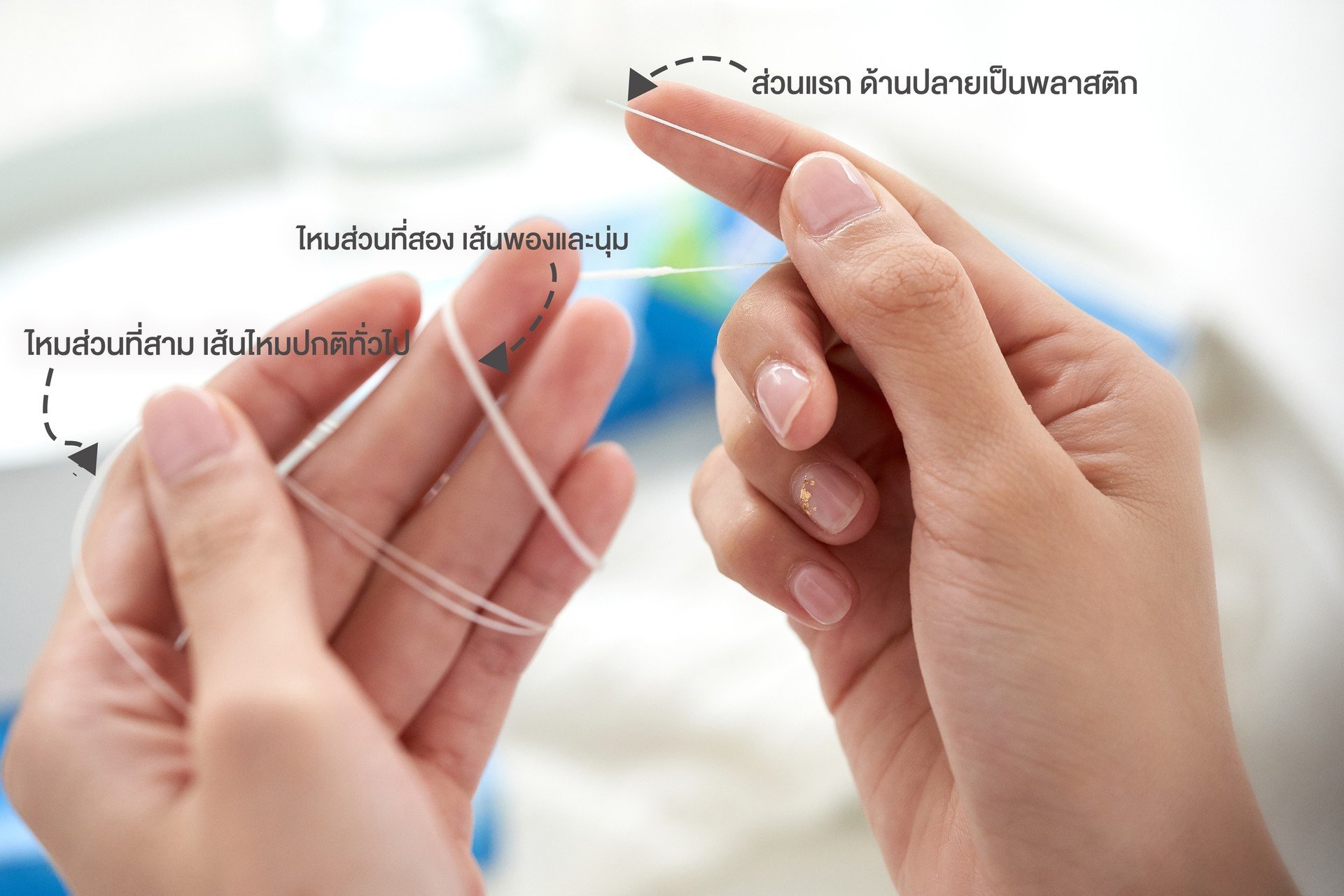 เส้นไหมแต่ละส่วน
