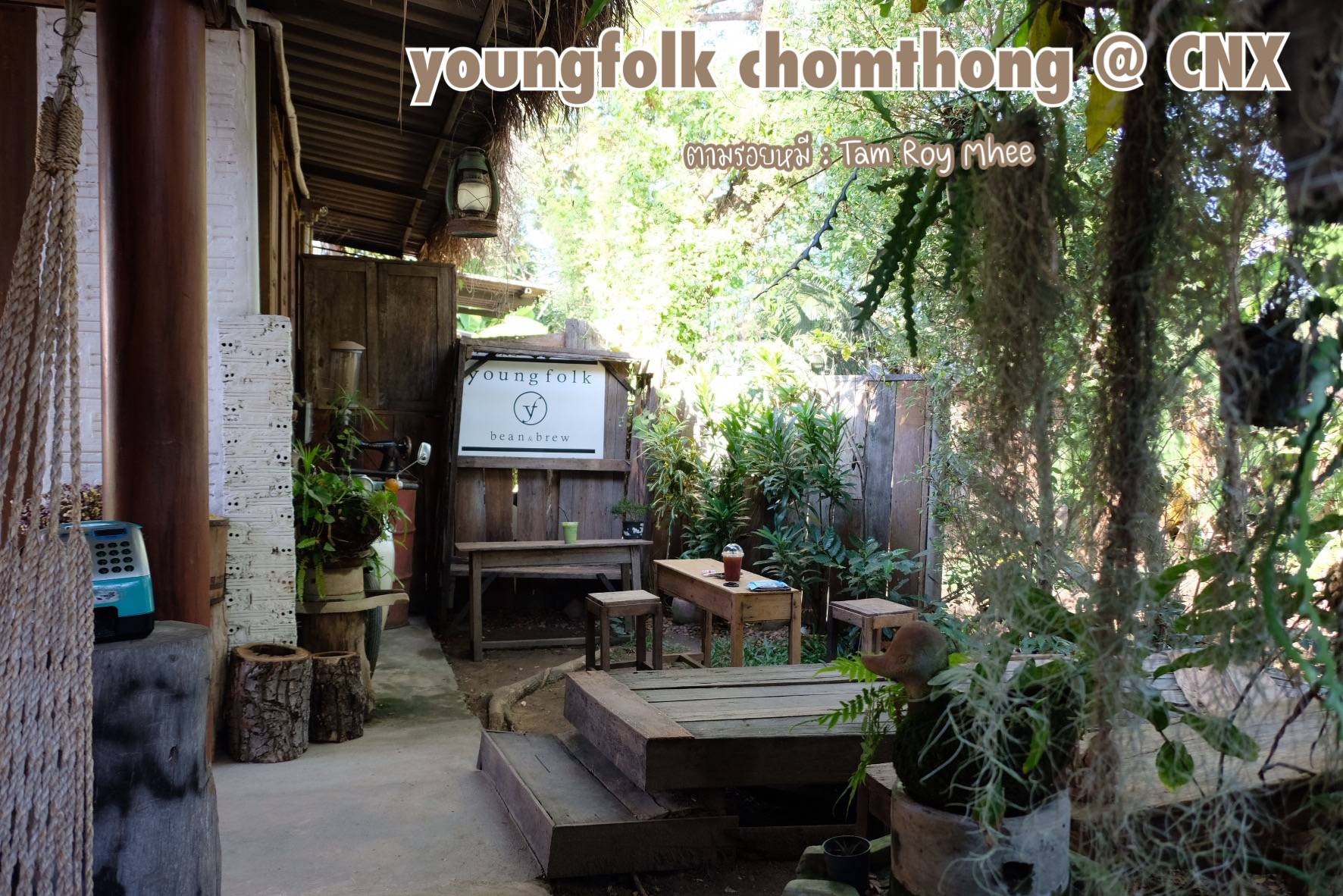 รูป Youngfolk Bean and Brew bean and brew