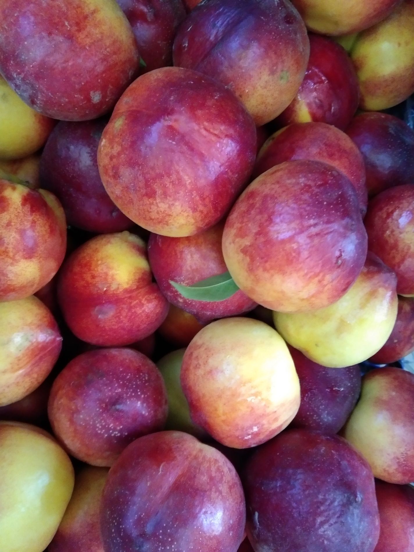 Fresh Fruit Delivery By Inchai สั่งอาหารเดลิเวอรี Wongnai x LINE MAN