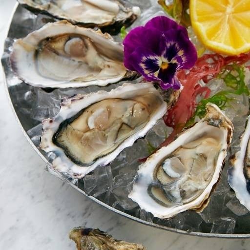 รีวิว Oysters Queen Fallabella Thonglor 13 สด สะอาด หอยมีคุณภาพมาก