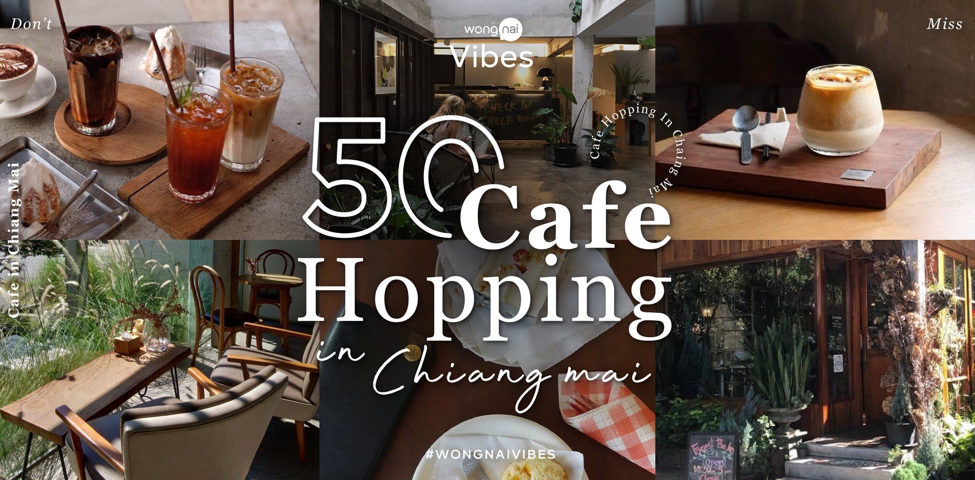 Don't Miss 50 Cafe in Chiang Mai คาเฟ่เชียงใหม่เอาใจ Cafe Hopper