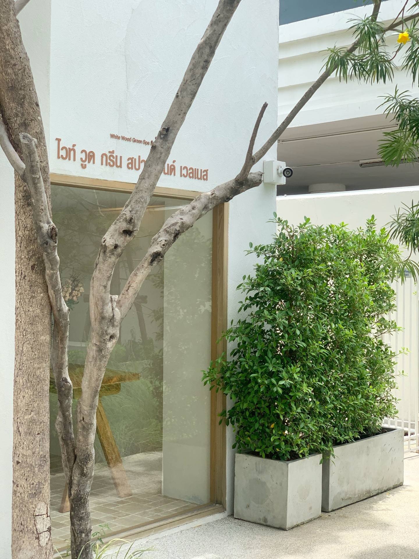 รูป White Wood Green Spa & Wellness Wongnai