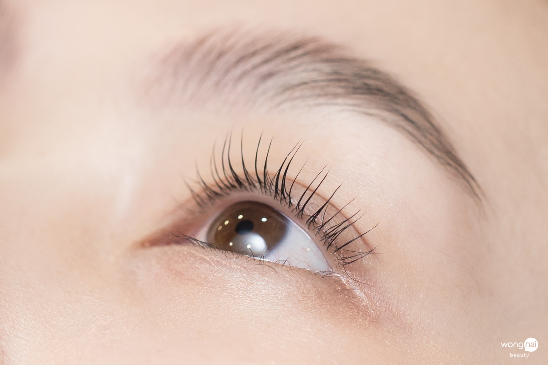 ดีลส่วนลดพิเศษร้าน Ever Lash Studio ดีลบิวตี้ Elleebana Keratin Lash