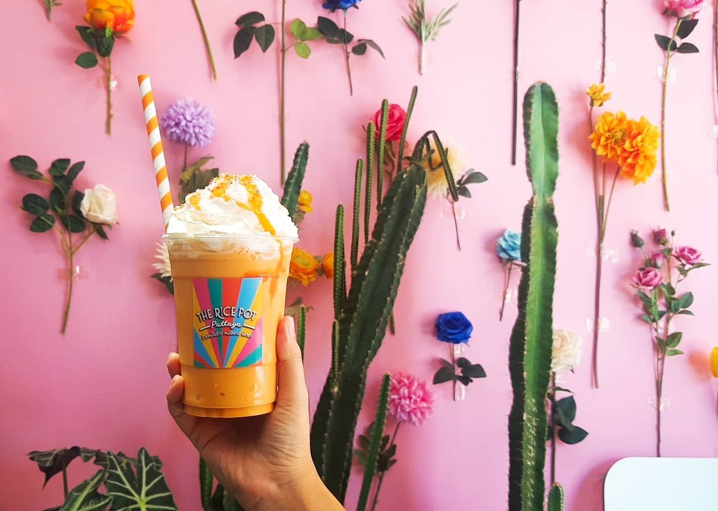 ชาไทยปั่น ร้าน The Rice Pot Pattaya (หม้อข้าวหม้อแกง พัทยา) หม้อข้าวหม้อแกง