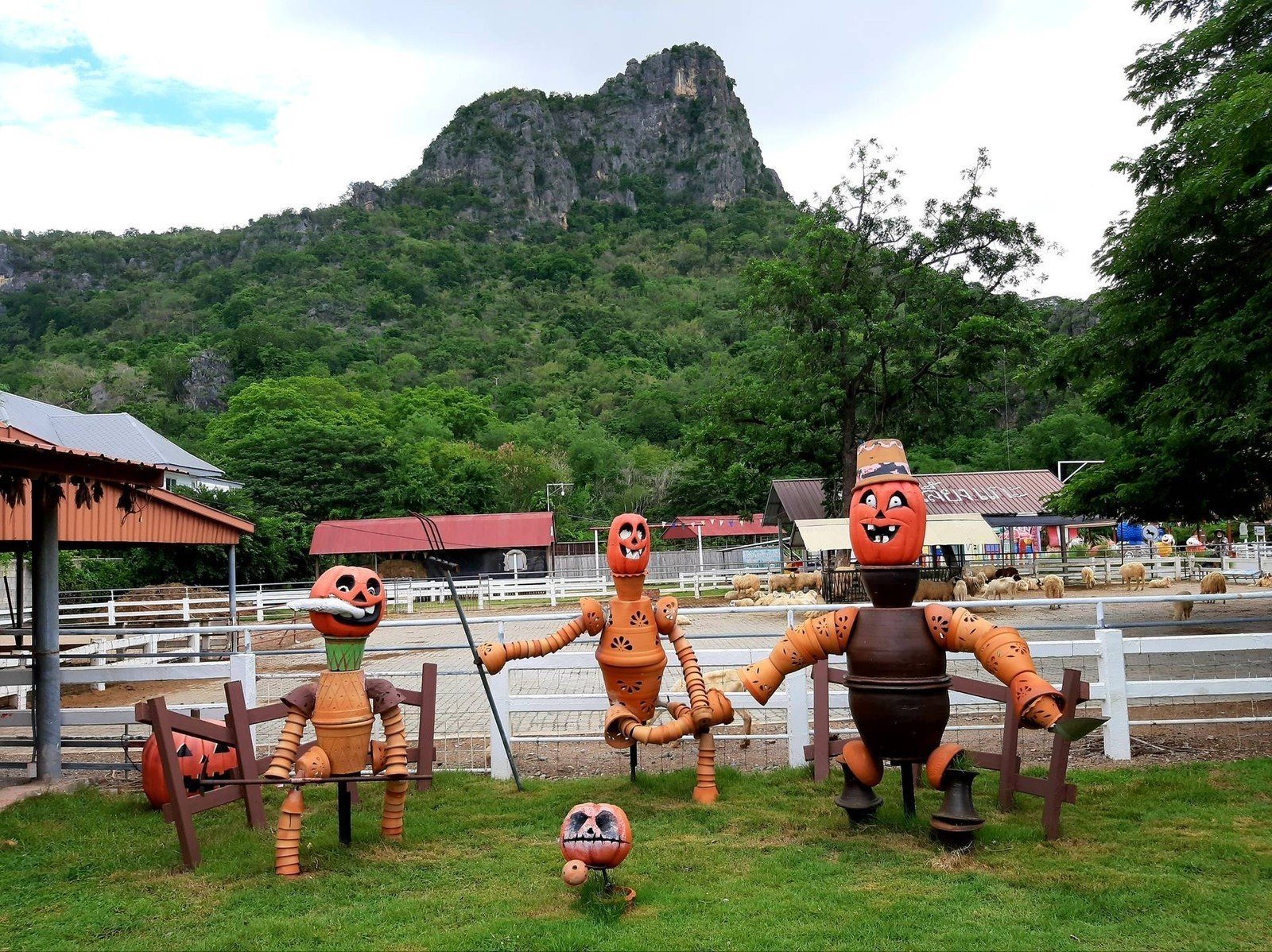 Swiss Sheep Farm ที่เที่ยวหัวหินสไตล์ฟาร์ม