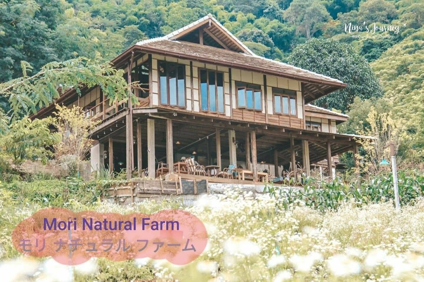 รีวิว Mori Natural Farm - คาเฟ่และที่พักสไตล์ญี่ปุ่น @ แม่ริม