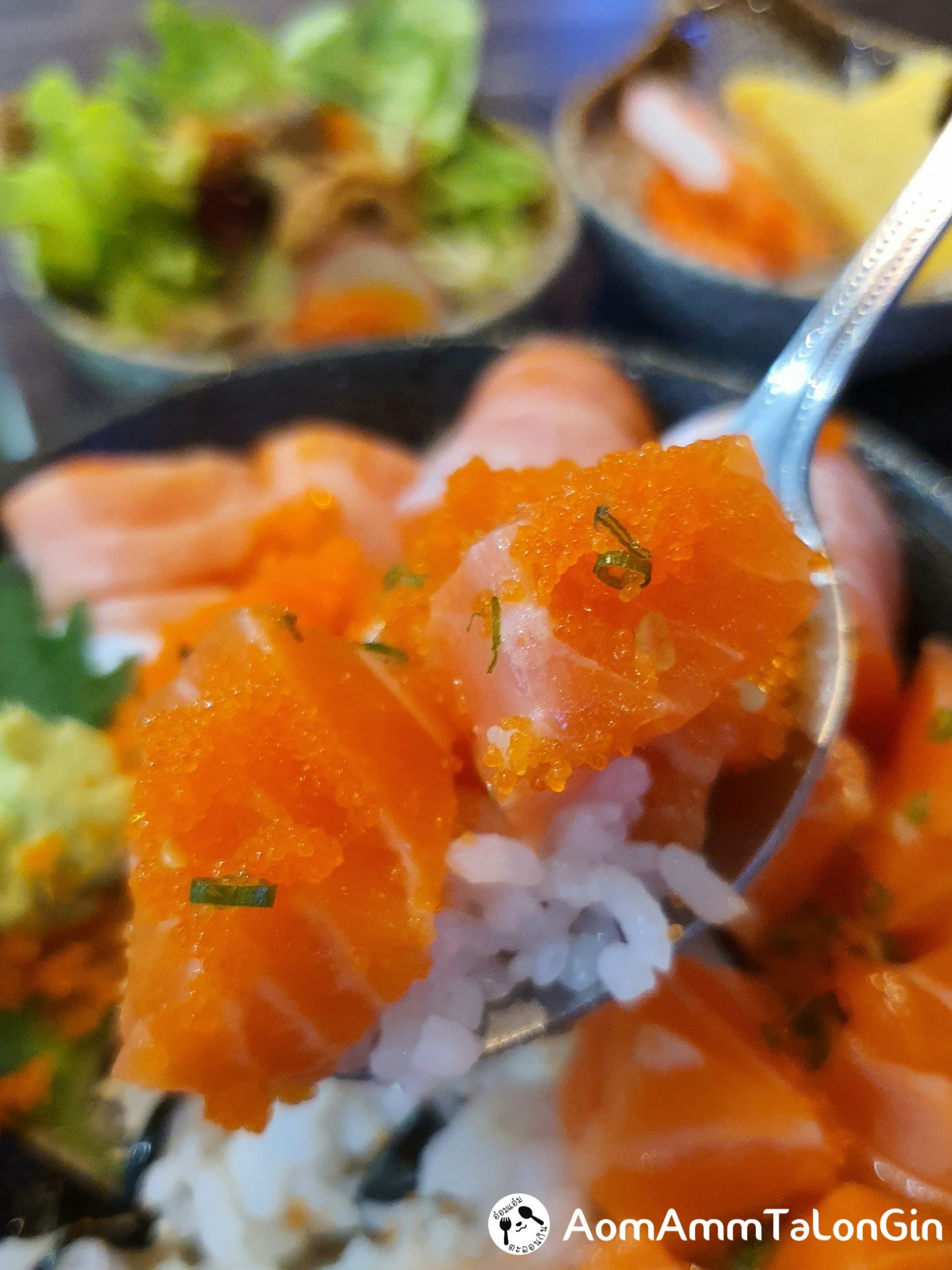Salmon Toro Don (Lunch Set) ร้าน HOSHI JAPANESE เซ็นทรัล พระราม 3 ชั้น 6 Wongnai