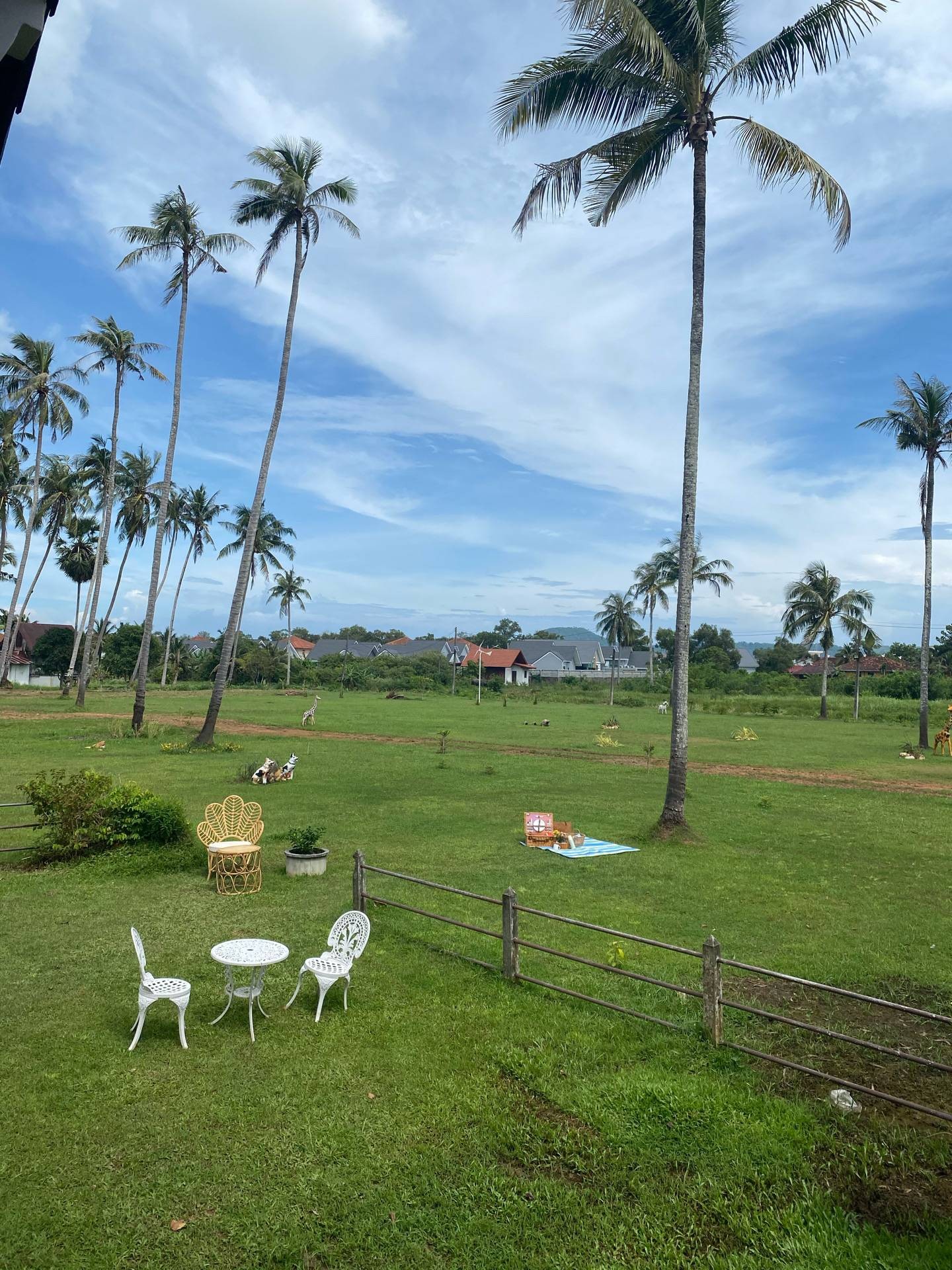 รีวิว Coconuts Cafe ร้านน่ารักมาก ขนมอร่อย ใกล้ห้าแยก Wongnai