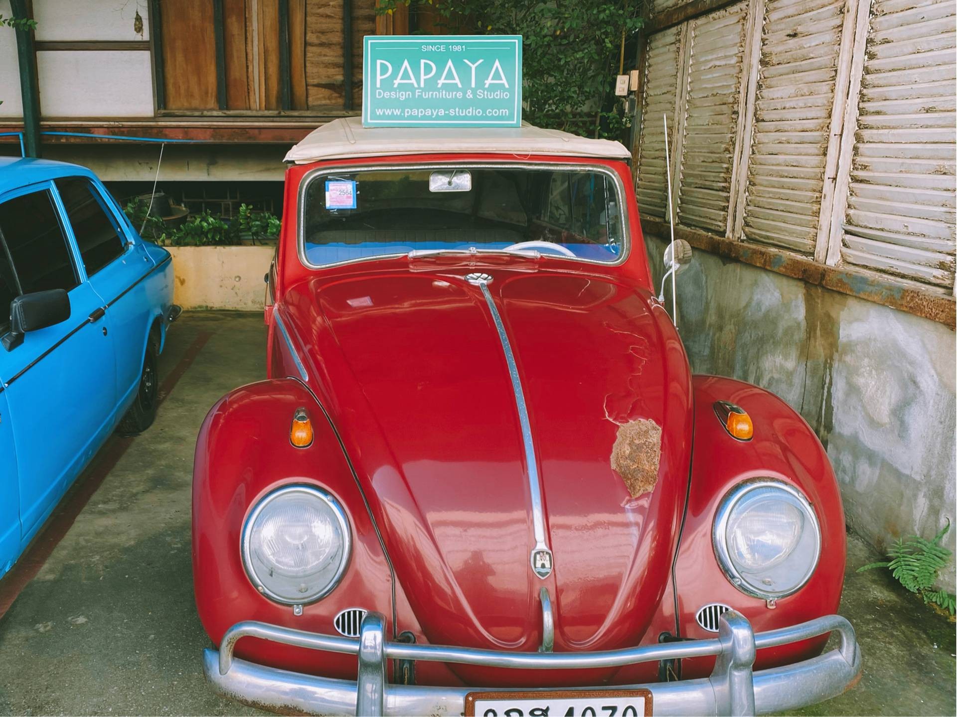 PAPAYA Design Furniture & Studio รีวิวสถานที่ท่องเที่ยว Wongnai