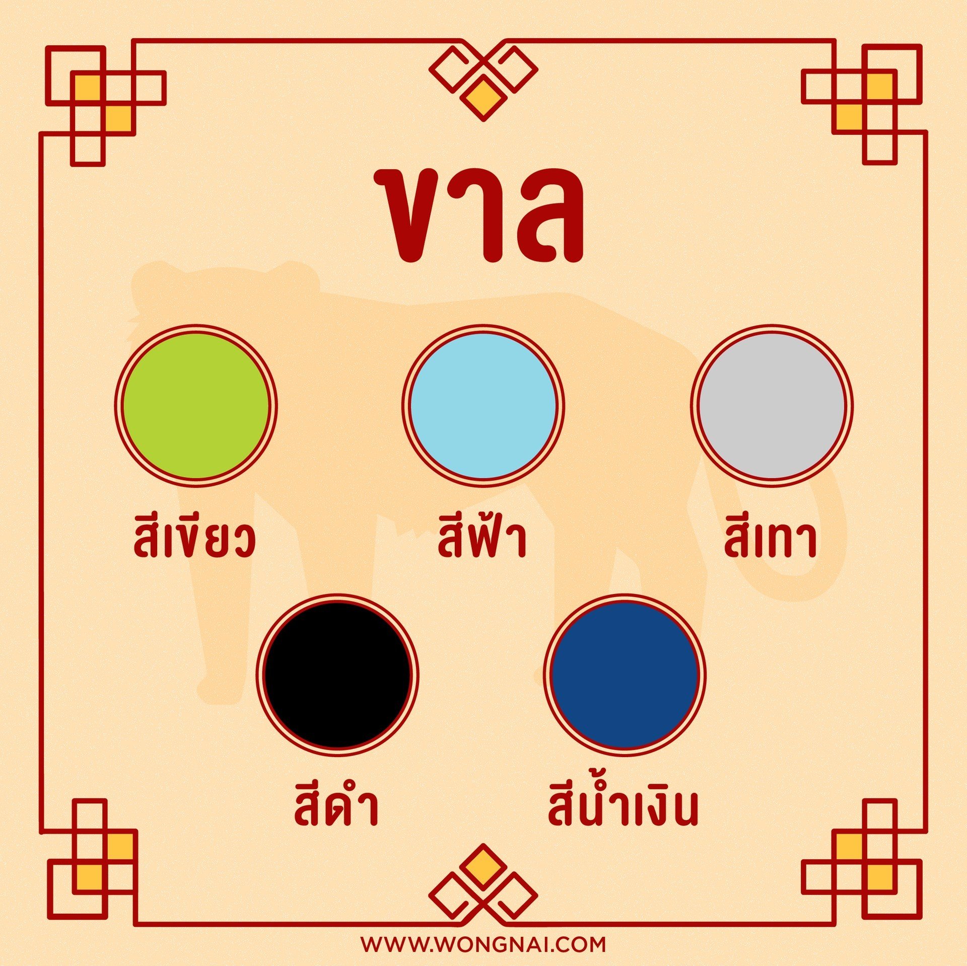 สีมงคลปี 2564 สำหรับคนเกิดปีนักษัตรปีขาล สีมงคลสำหรับคนเกิดปีขาล (ปีเสือ)