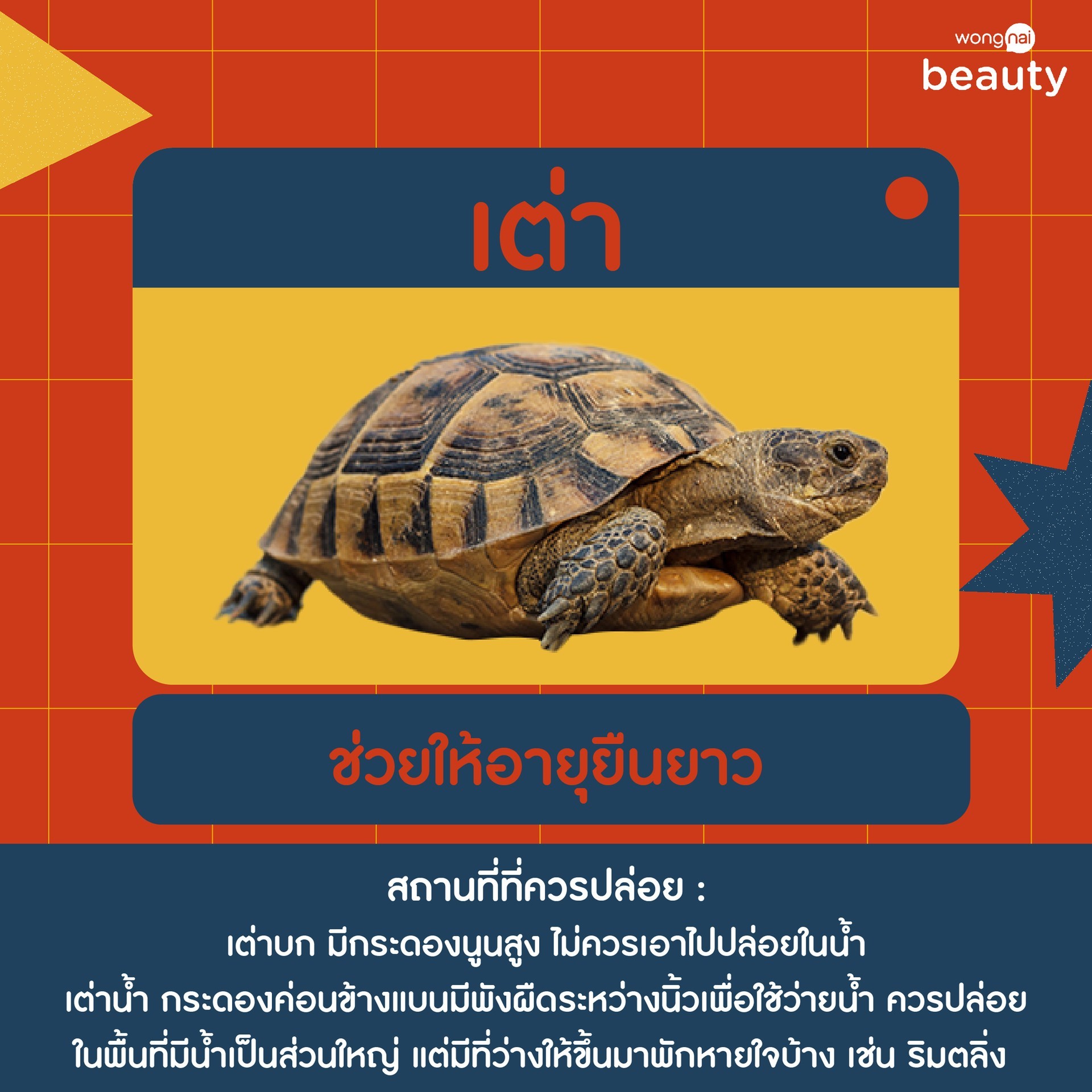 My Image 33
