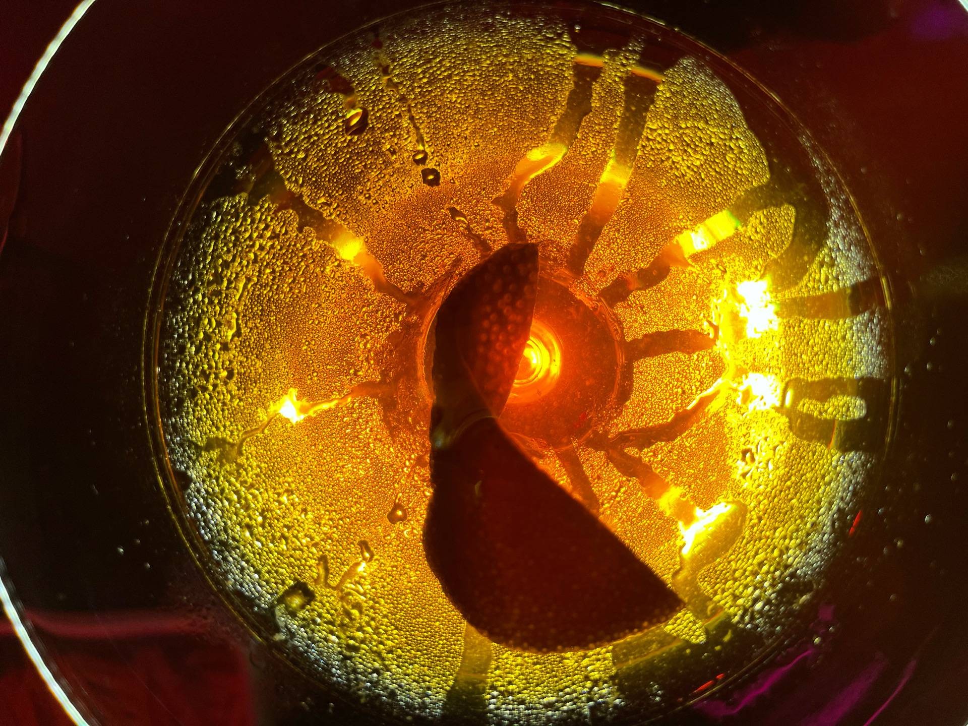 รูป The Lab Bar & Restaurant Wongnai