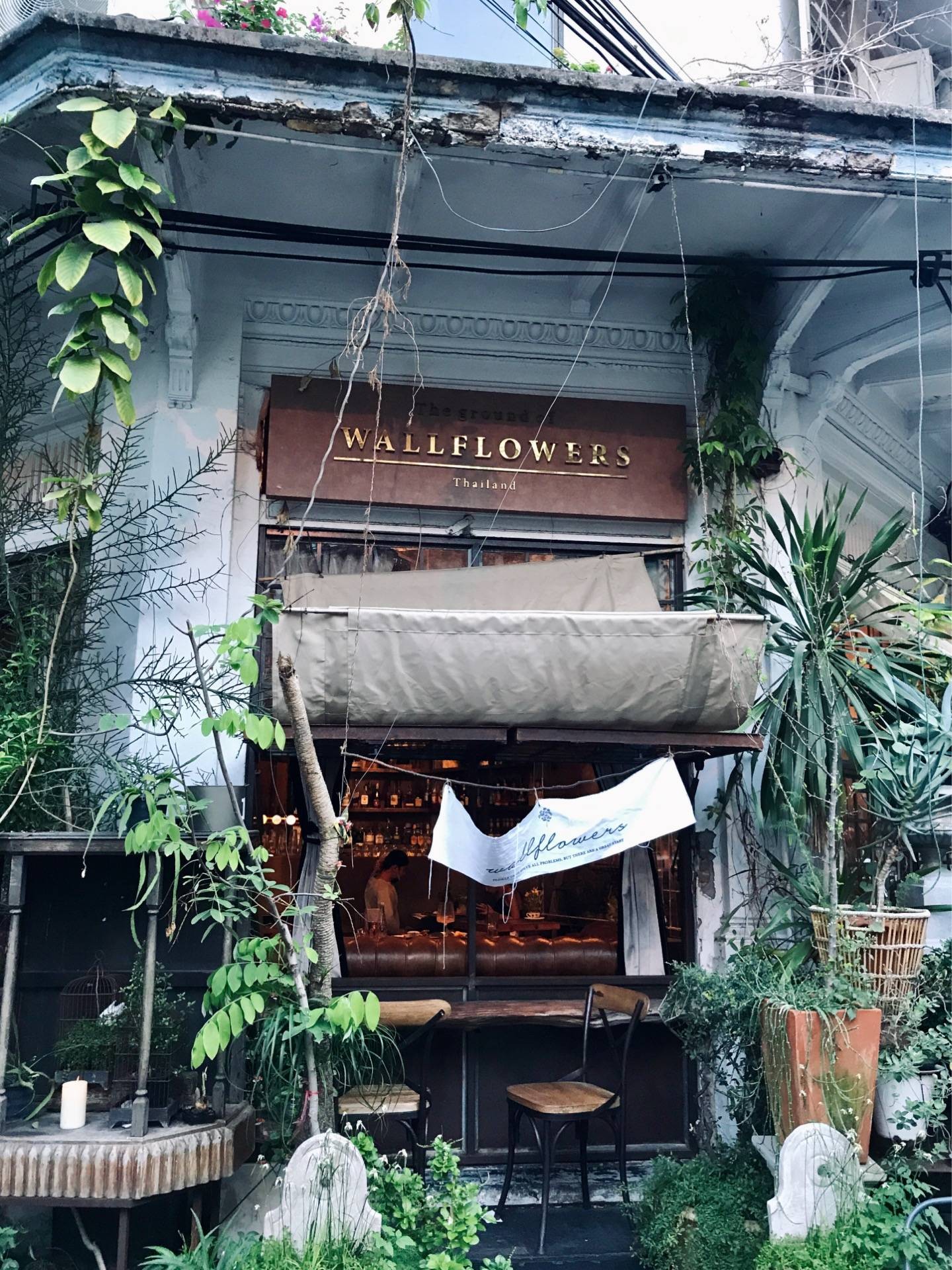 รีวิว Wallflowers Upstairs Let’s chill in Bangkok’s Old Town 🌿💫 Wongnai