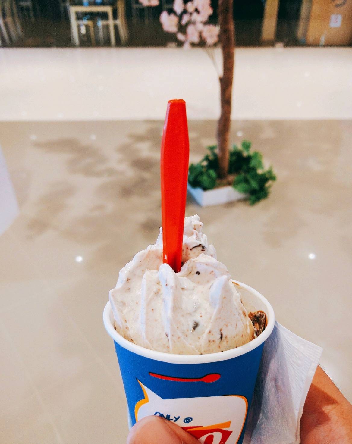 รีวิว Dairy Queen ® Riverside Plaza DQ Blizzard ปั่นกับอะไรก็อร่อย