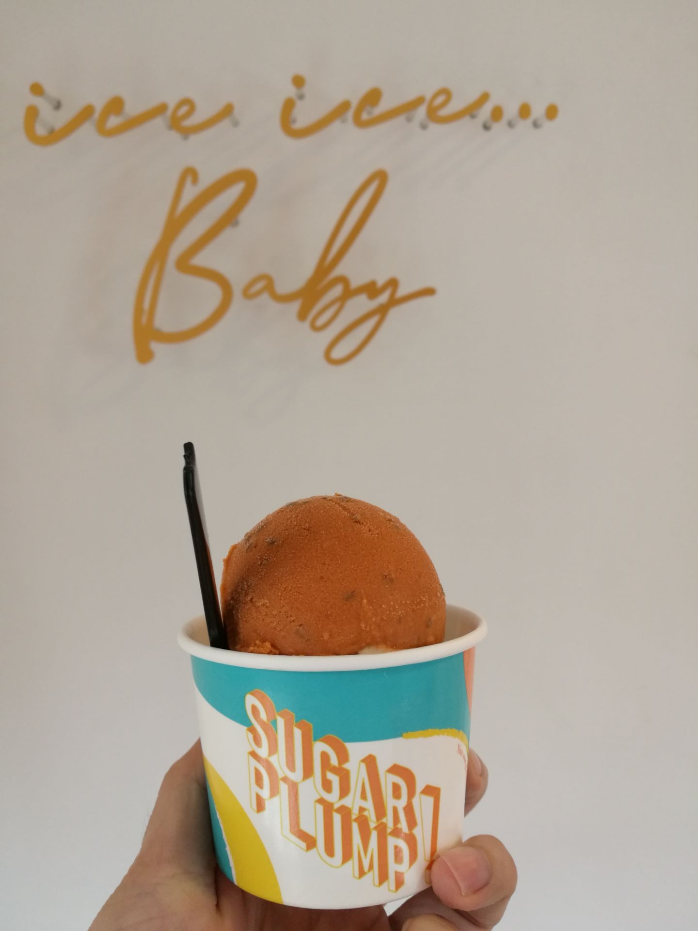 รีวิว Sugar Plump! Ice cream สาทร ไอศกรีมอร่อยรสชาติเข้มข้น Wongnai