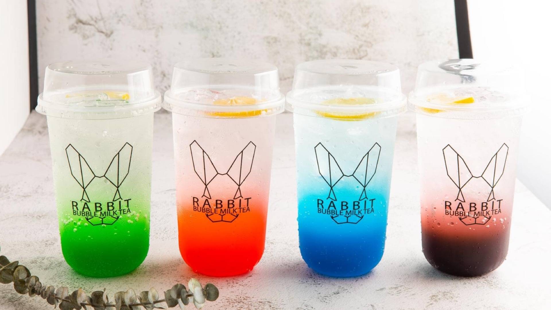 ร้าน RABBIT BUBBLE MILK TEA | รีวิวร้านอาหาร - Wongnai