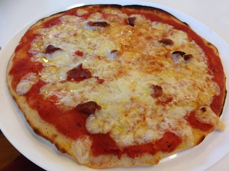 รีวิว Old Pine Husky Lodge สายธรรมชาติและสายผจญภัยห้ามพลาด Wongnai