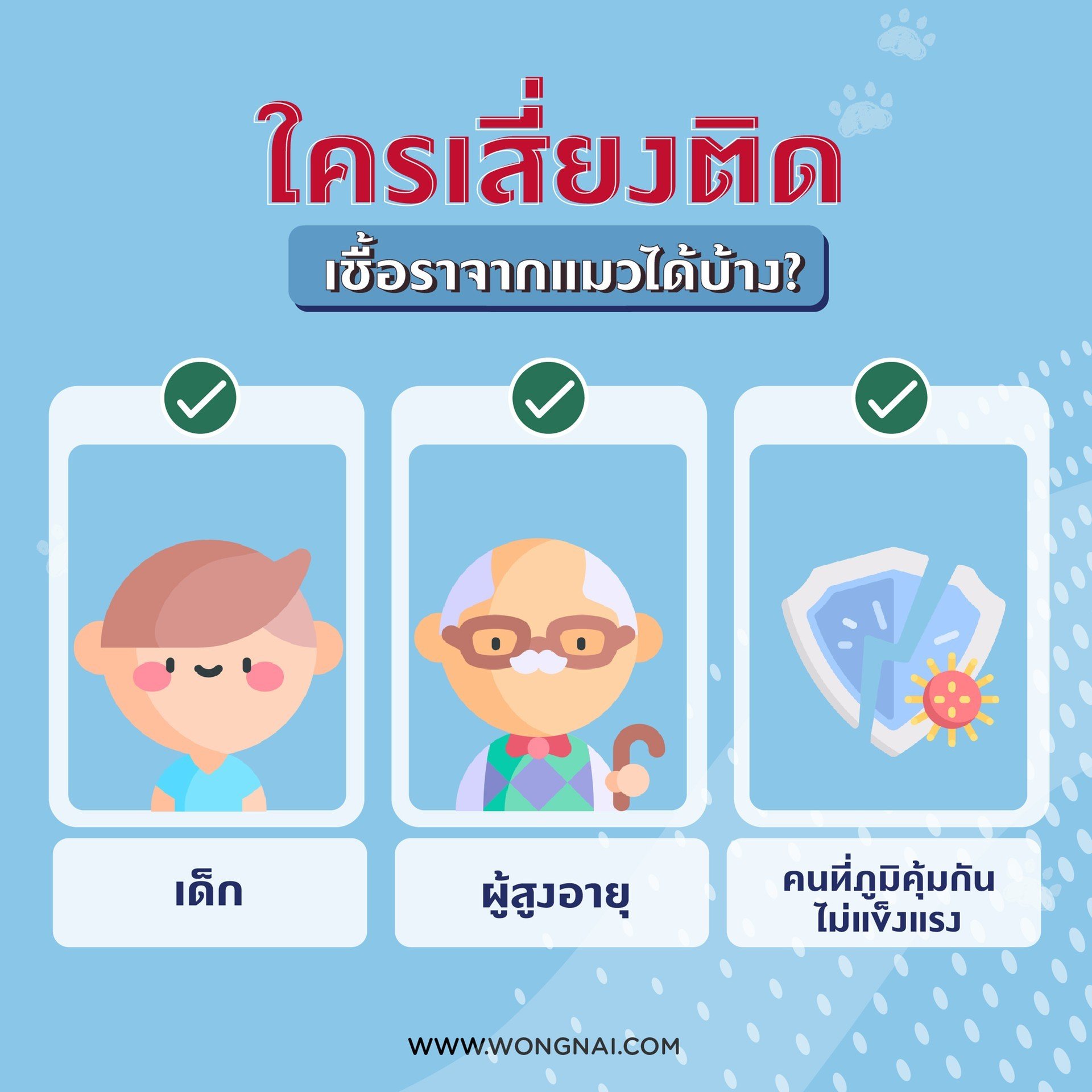 ใครเสี่ยงติด “เชื้อราจากแมว” ได้บ้าง?
