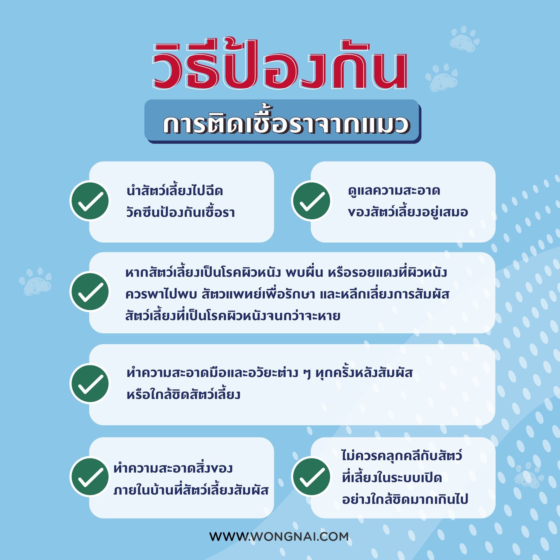วิธีป้องกันการติดเชื้อราจากแมว