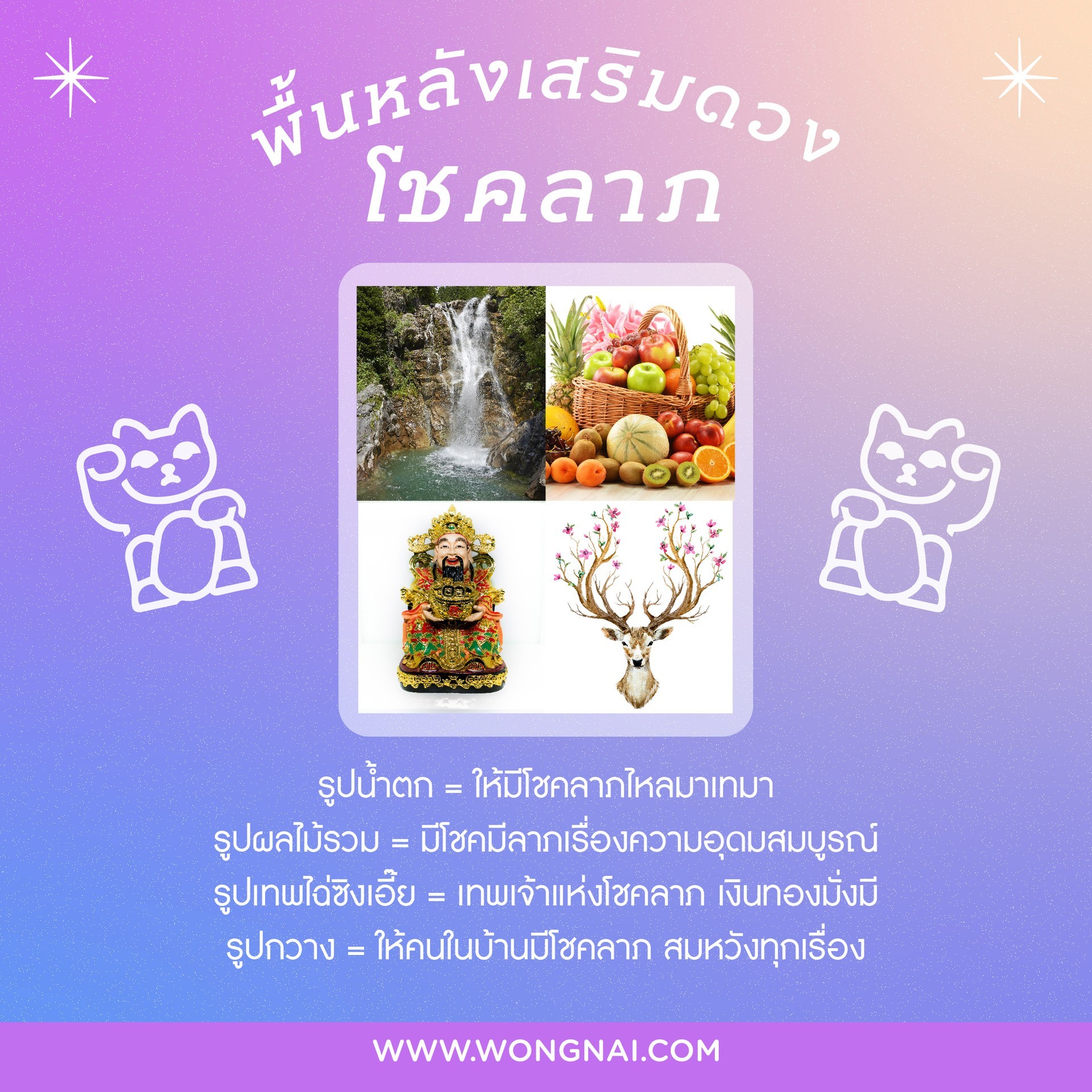 My Image 28
