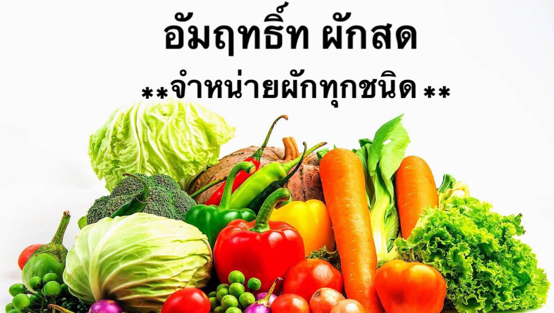 อัมฤทธิ์ผักสด อัมฤทธิ์ผักสดสาขา1 สั่งอาหารเดลิเวอรี Wongnai X Line Man