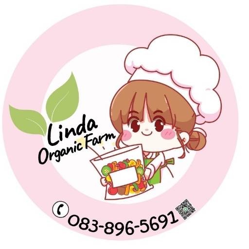 ร้าน linda organic farm | รีวิวร้านอาหาร