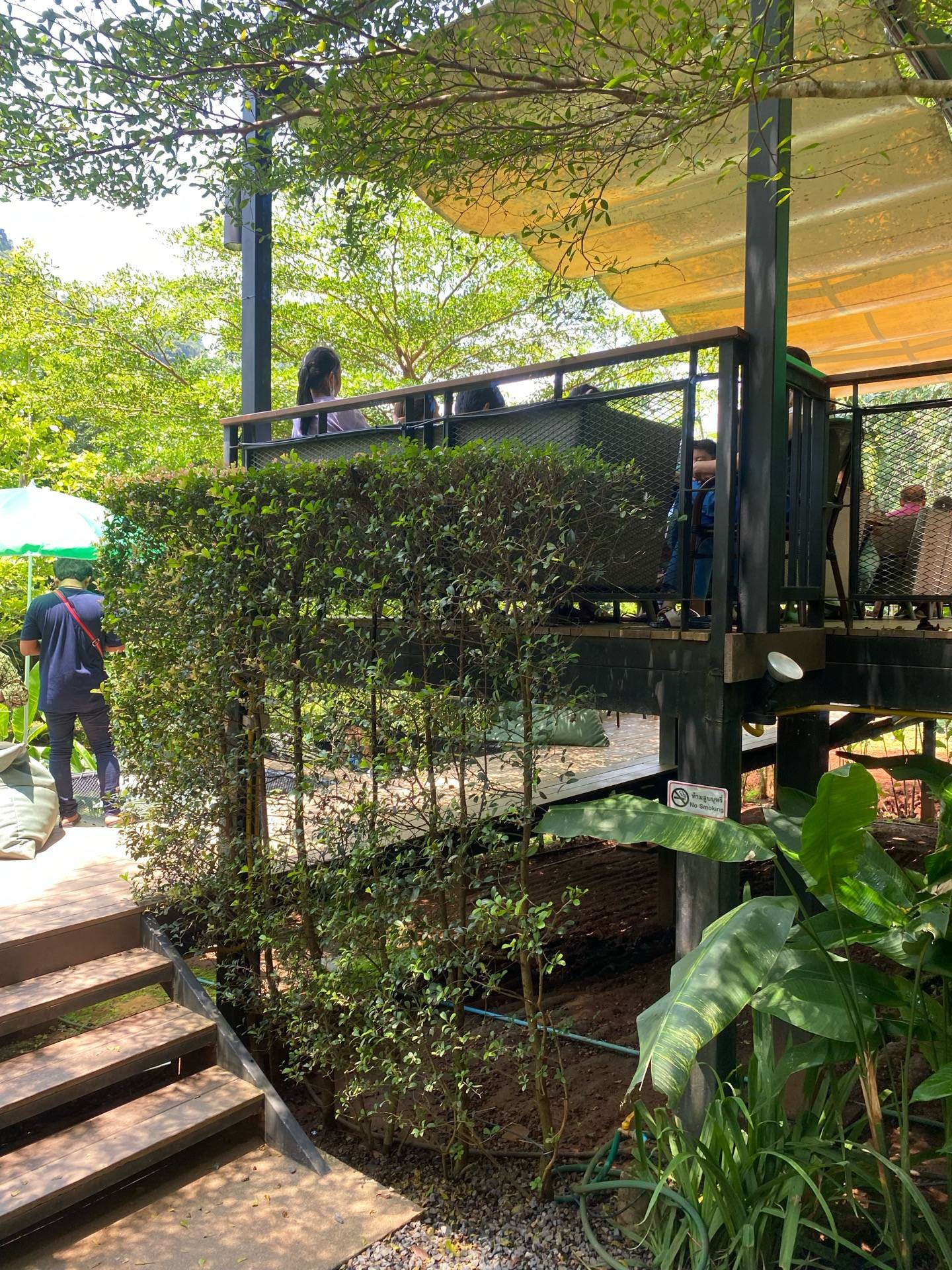 รูป Into The Forest