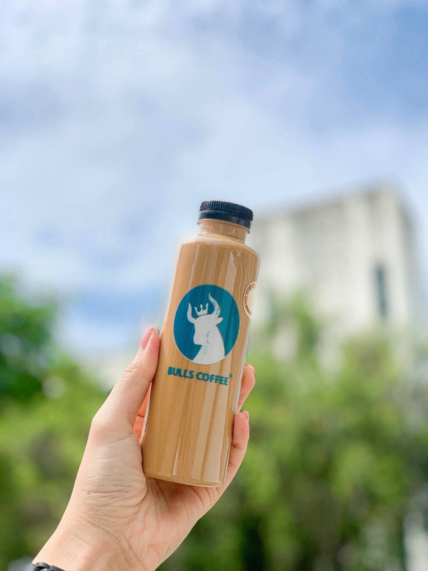 รีวิว Bulls’ Café (บูลส์คาเฟ่) ซอยหลังริมปิง นิ่มซิตี้เดลี่แอร์พอร์ท