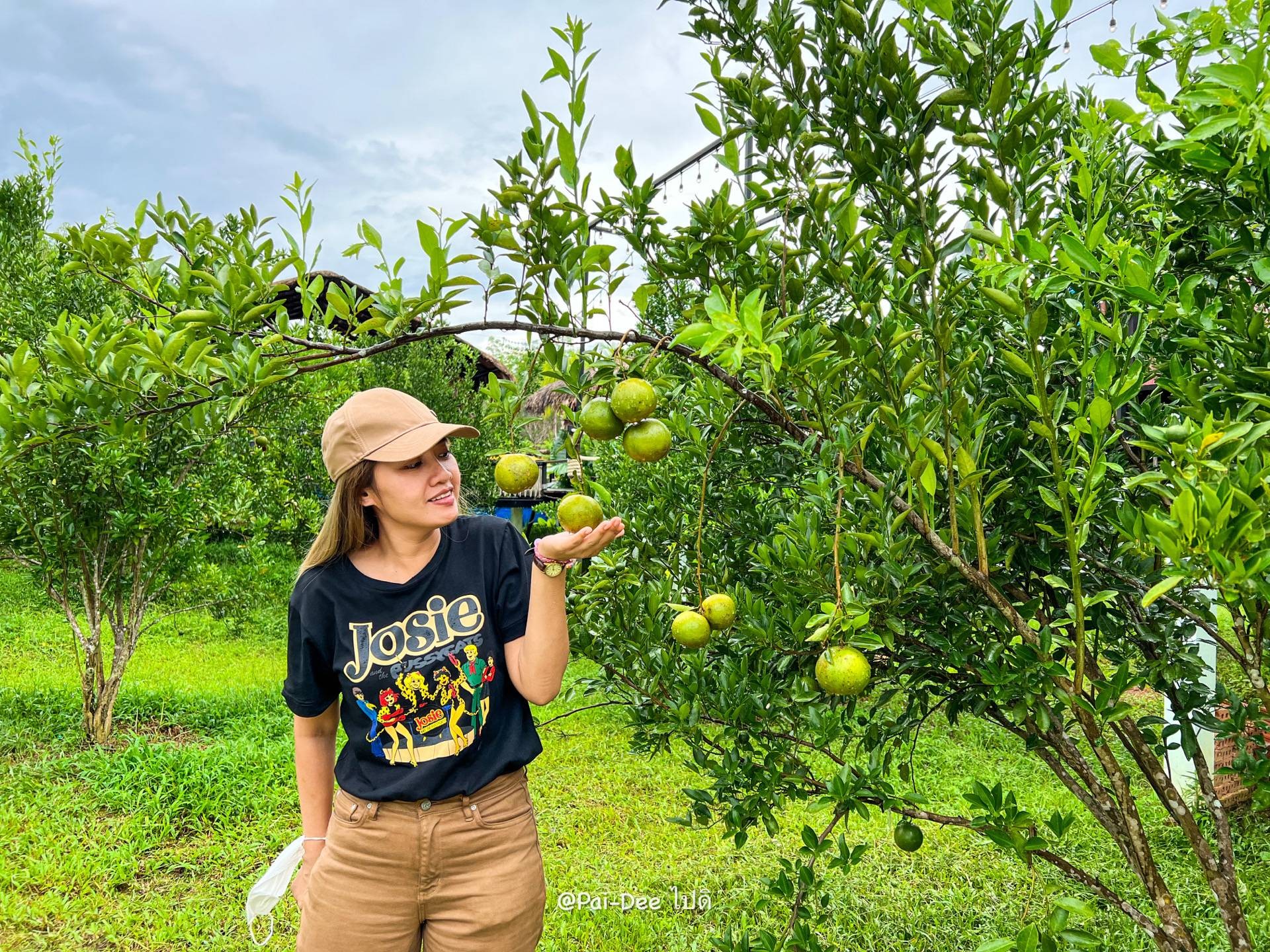 รีวิว แล้วแต่ปุ๊ The orange Cafe แล้วแต่ปุ๊ The orange Cafe