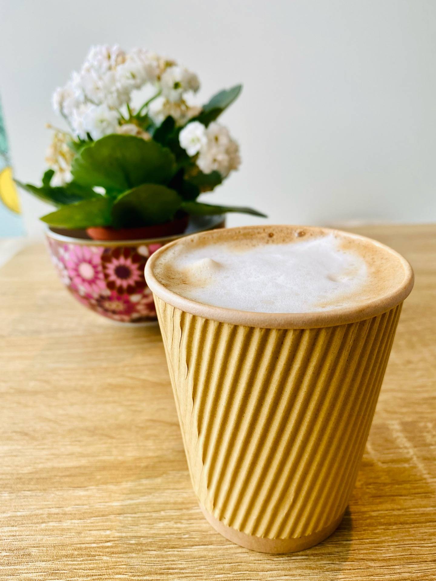 ร้าน Prana Juice & Snack Bar Chur รีวิวร้านอาหาร Wongnai