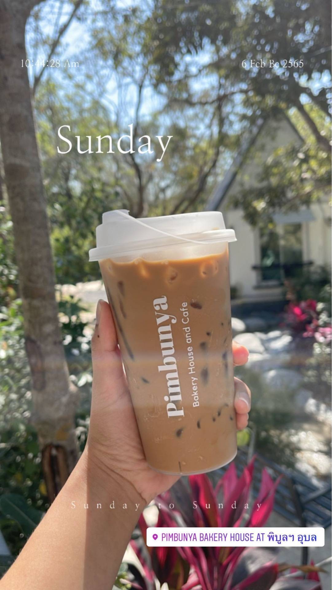 รีวิว พิมพ์บุญญา Bakery House And Cafe ร้านคาเฟ่ น่ารักๆ อาหารอร่อย