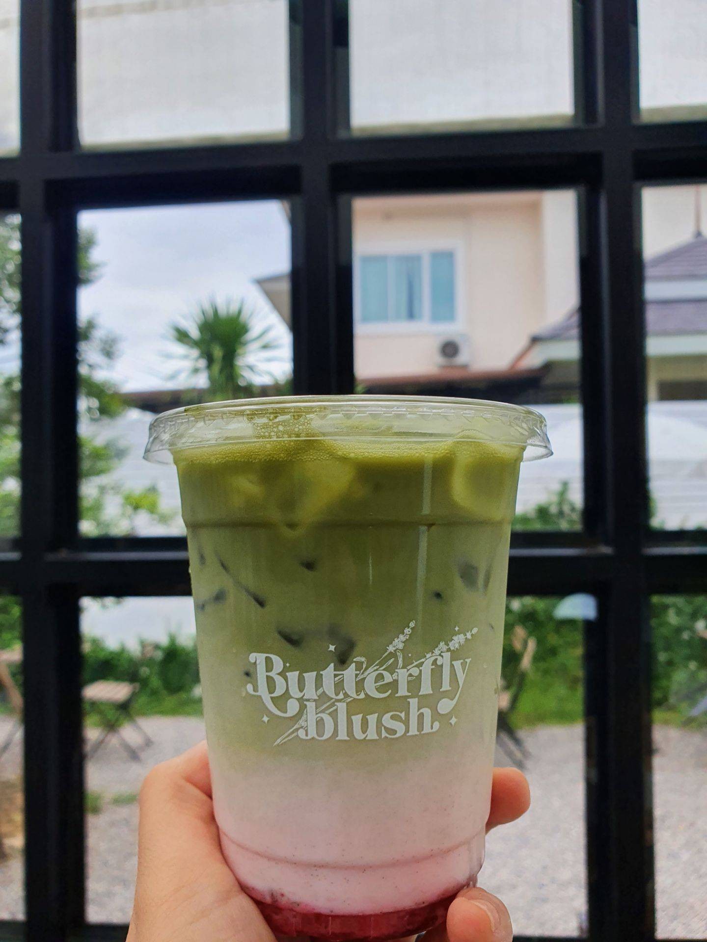 รูป Butterfly Blush Cafe