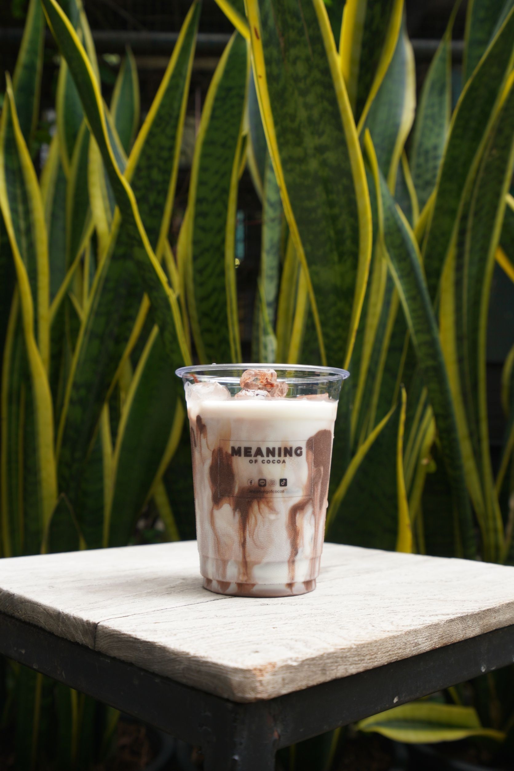 ร้าน Meaning of Cocoa Westgate รีวิวร้านอาหาร