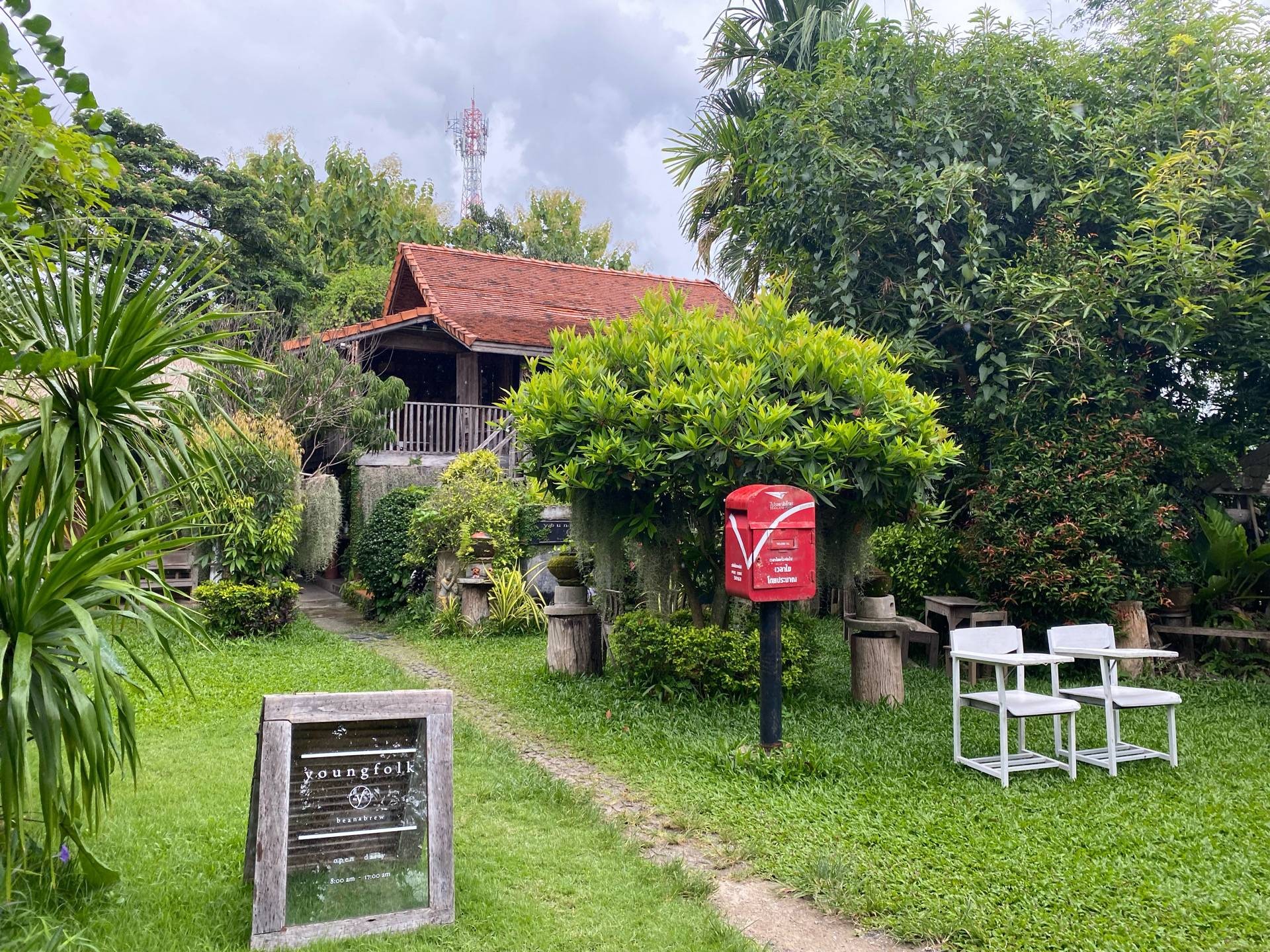 รีวิว Youngfolk Bean and Brew bean and brew ร้านน่ารัก จัดสวนสวย