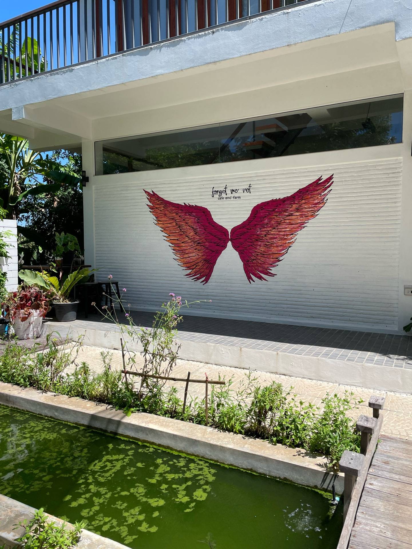 ร้าน Forget Me Not | รีวิวร้านอาหาร