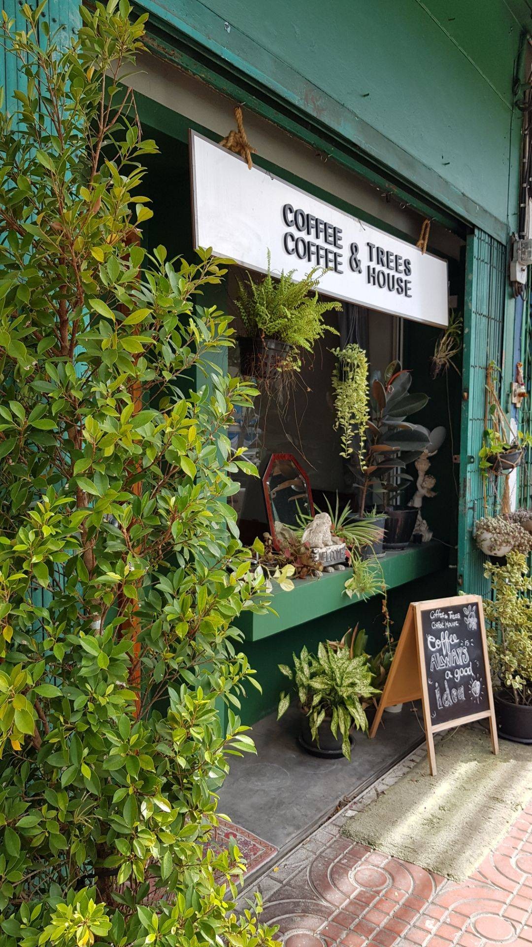 รีวิว Coffee & Trees Coffee House Cafe ร้านเงียบสงบดี น่านอน 💤