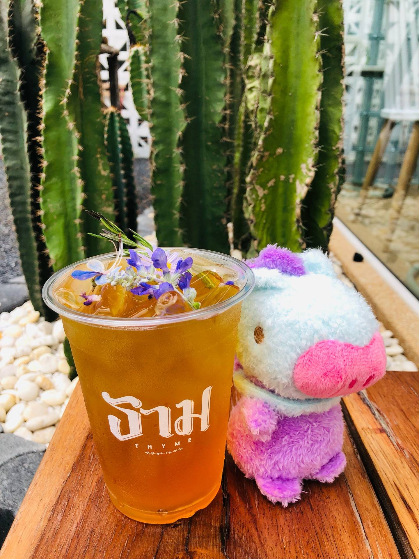 รีวิว ธาม Thyme Cafe & Restaurant นวมินทร์ 90 ร้านน่ารัก มุมถ่ายรูป