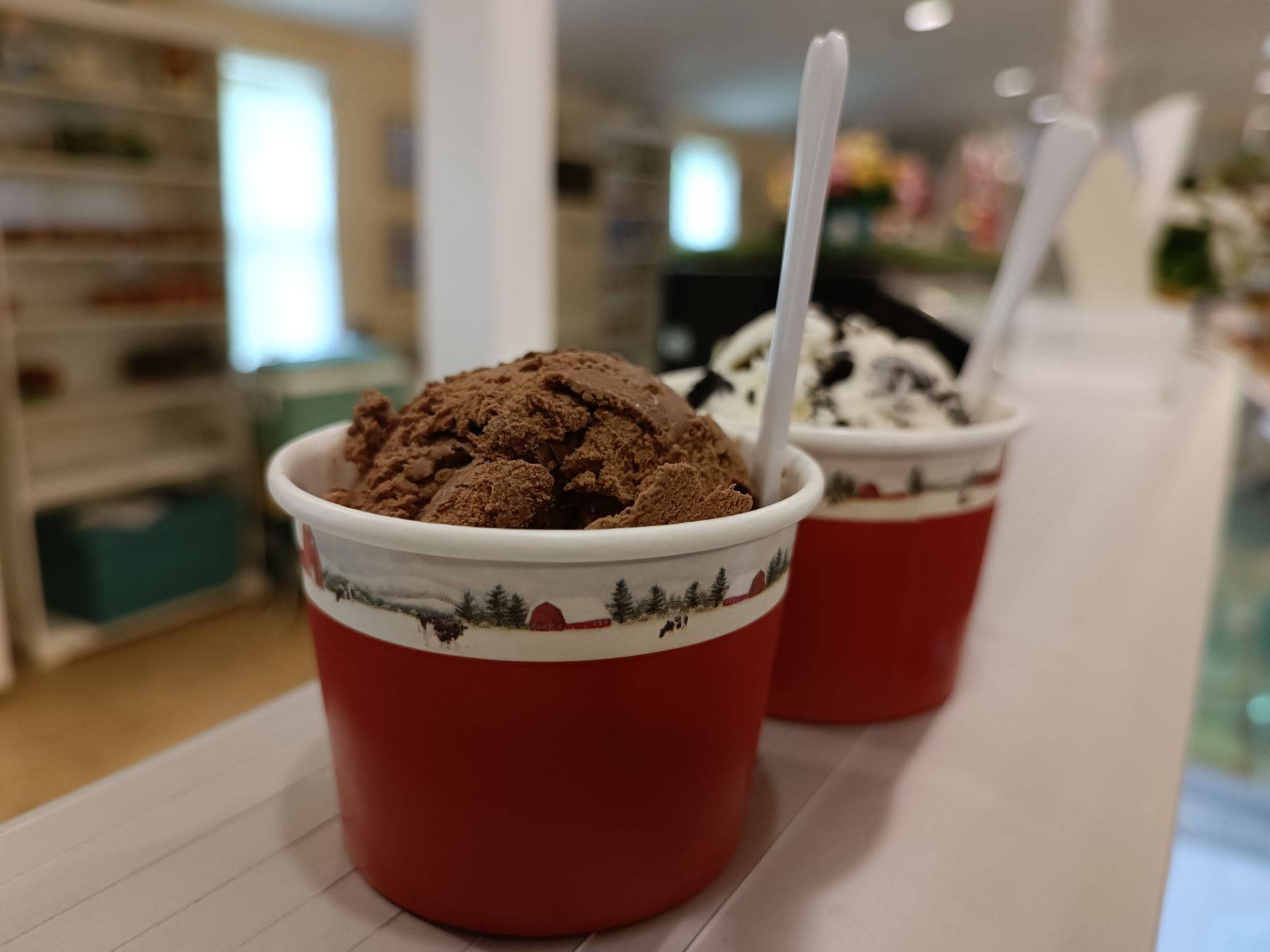 ไอศกรีมโฮมเมด ร้าน Dairy Home Wongnai