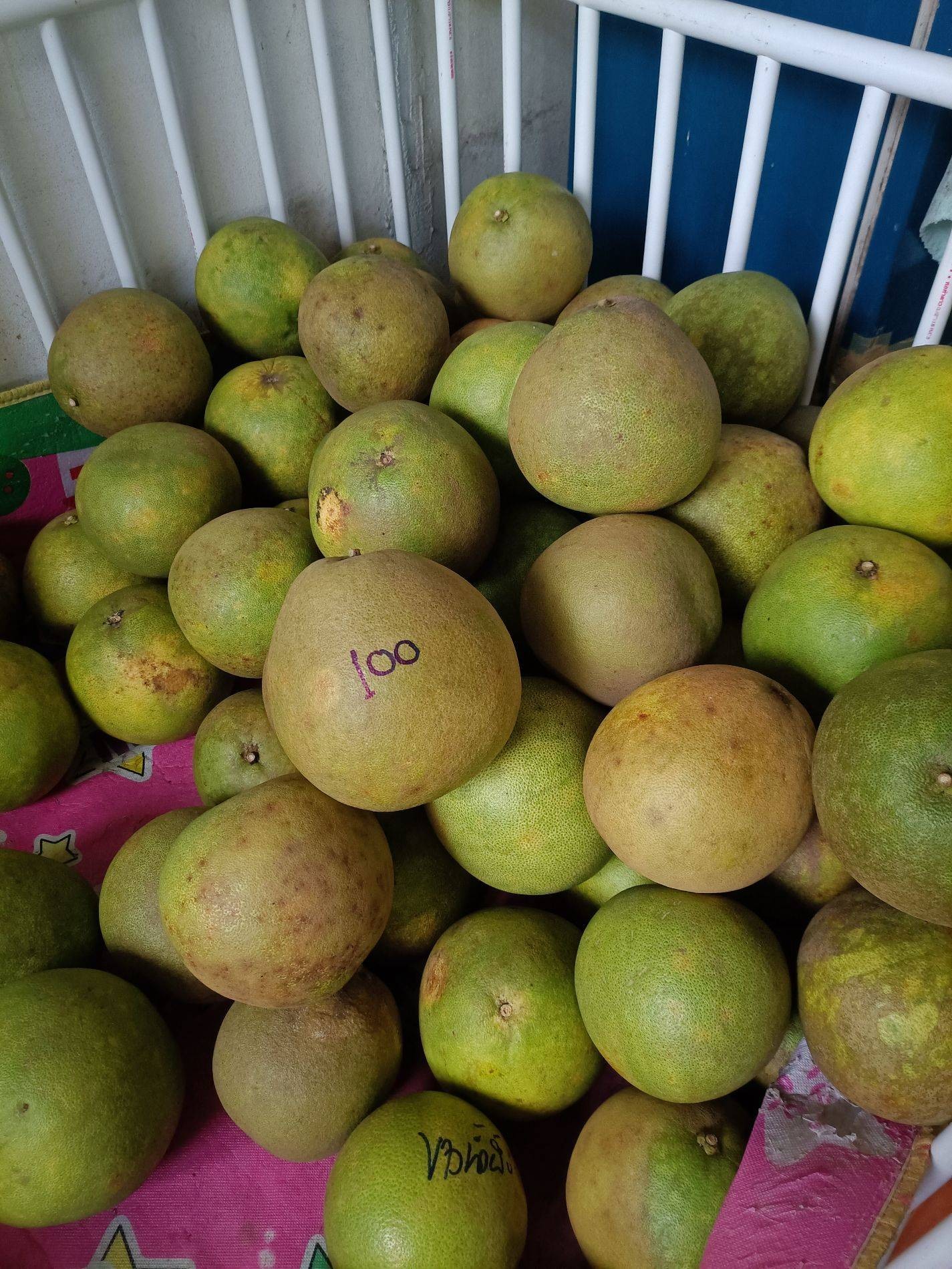 ส้มโอไกล้บ้าน สั่งอาหารเดลิเวอรี Wongnai x LINE MAN