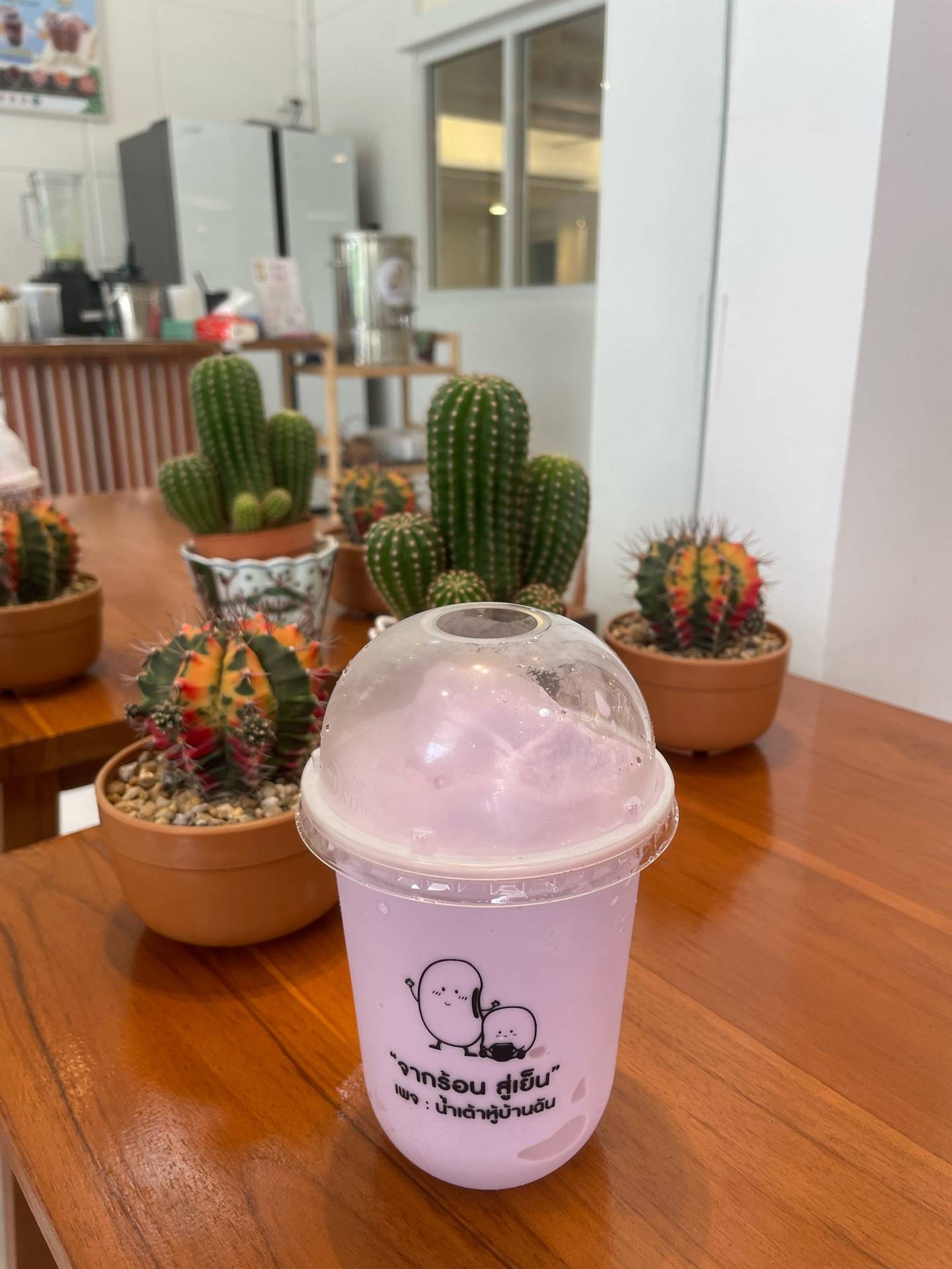 รีวิว น้ำเต้าหู้บ้านฉัน หาดใหญ่ Soy milk beverage series