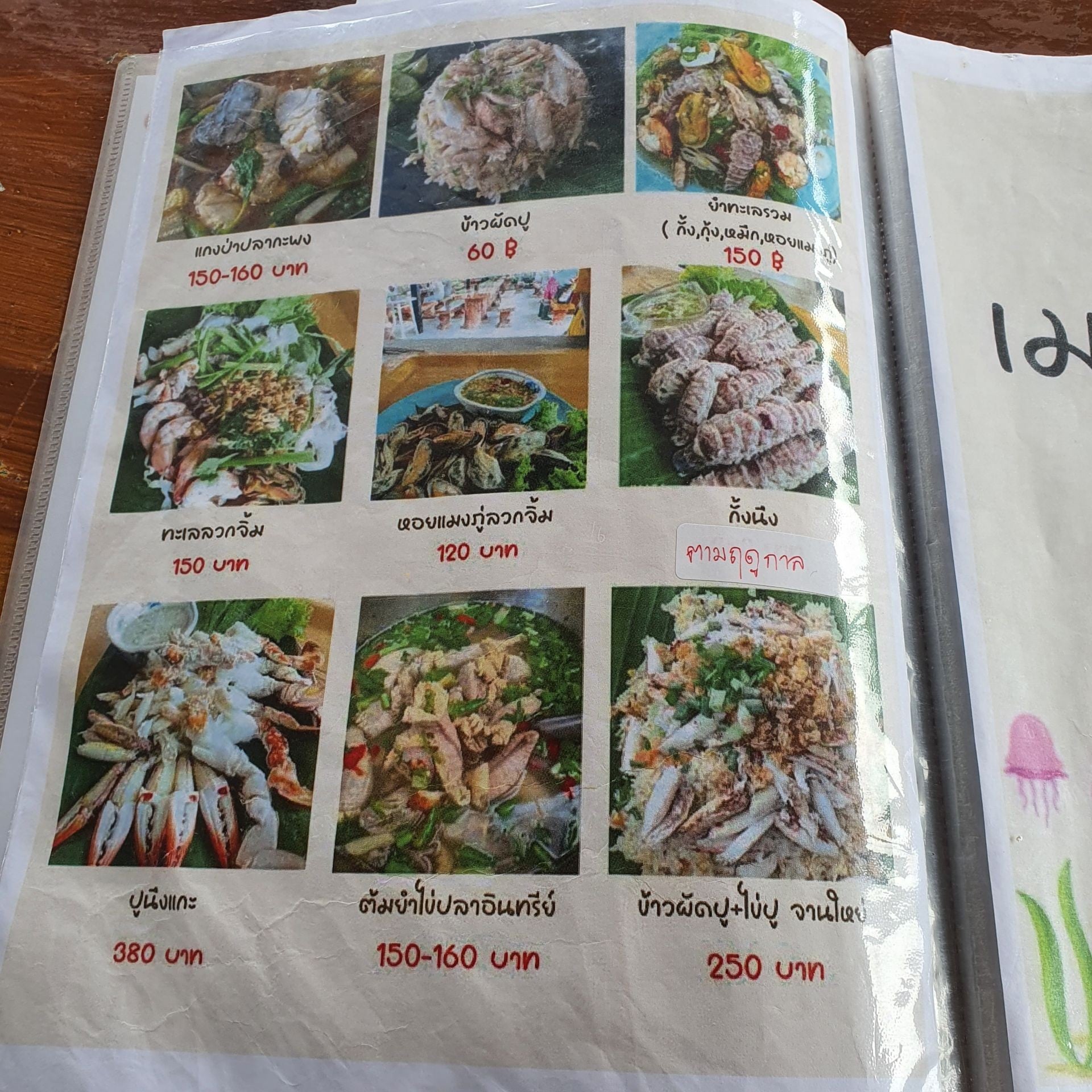 อันดับหนึ่ง 105+ ภาพพื้นหลัง ร้านเจ้จิ๋วตะหลิวบิน รูปภาพ คมชัด อันดับหนึ่ง 105+ ภาพพื้นหลัง ร้านเจ้จิ๋วตะหลิวบิน รูปภาพ คมชัด