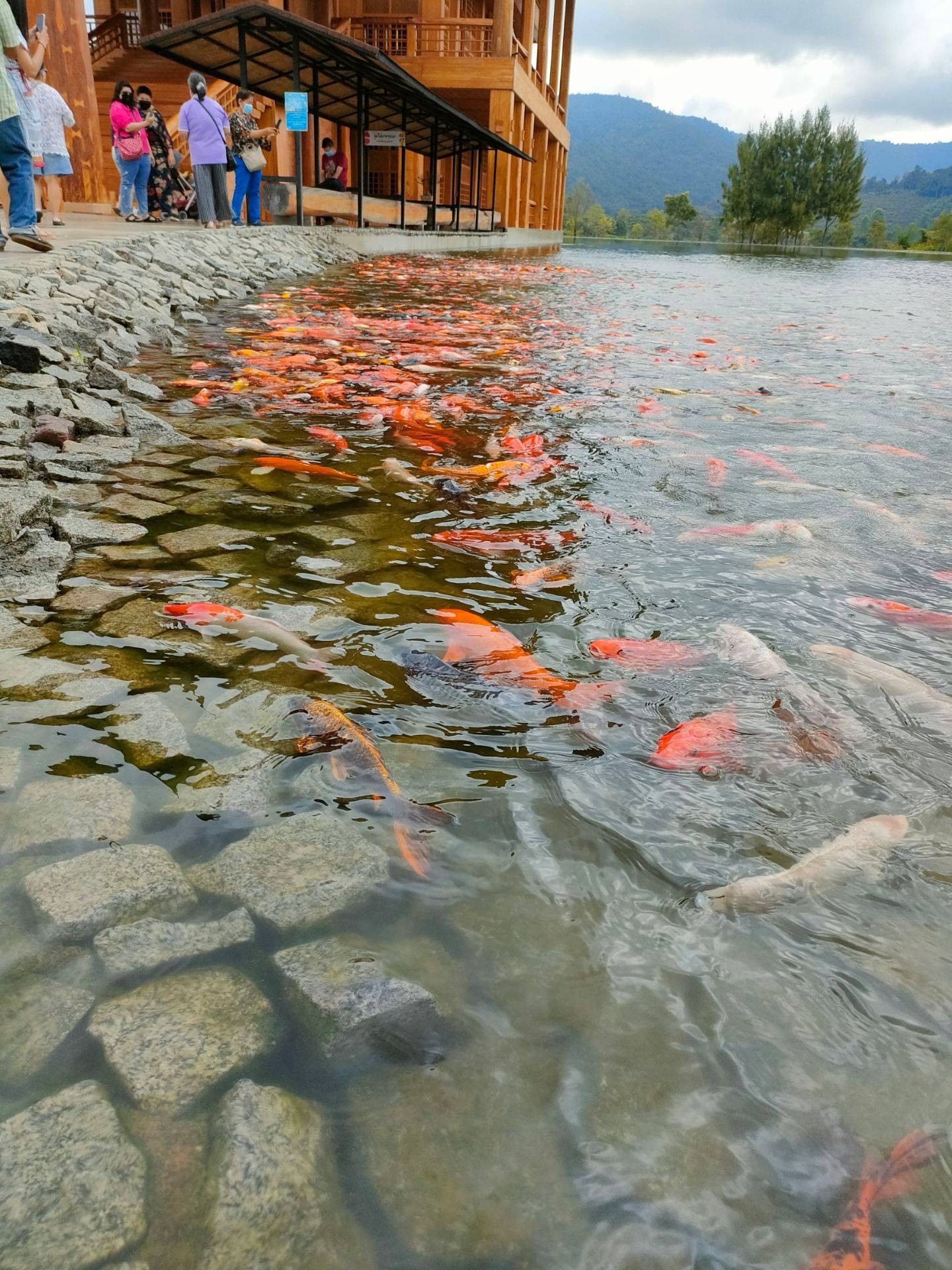 รูป Hinoki Land (ฮิโนกิแลนด์) ไชยปราการ