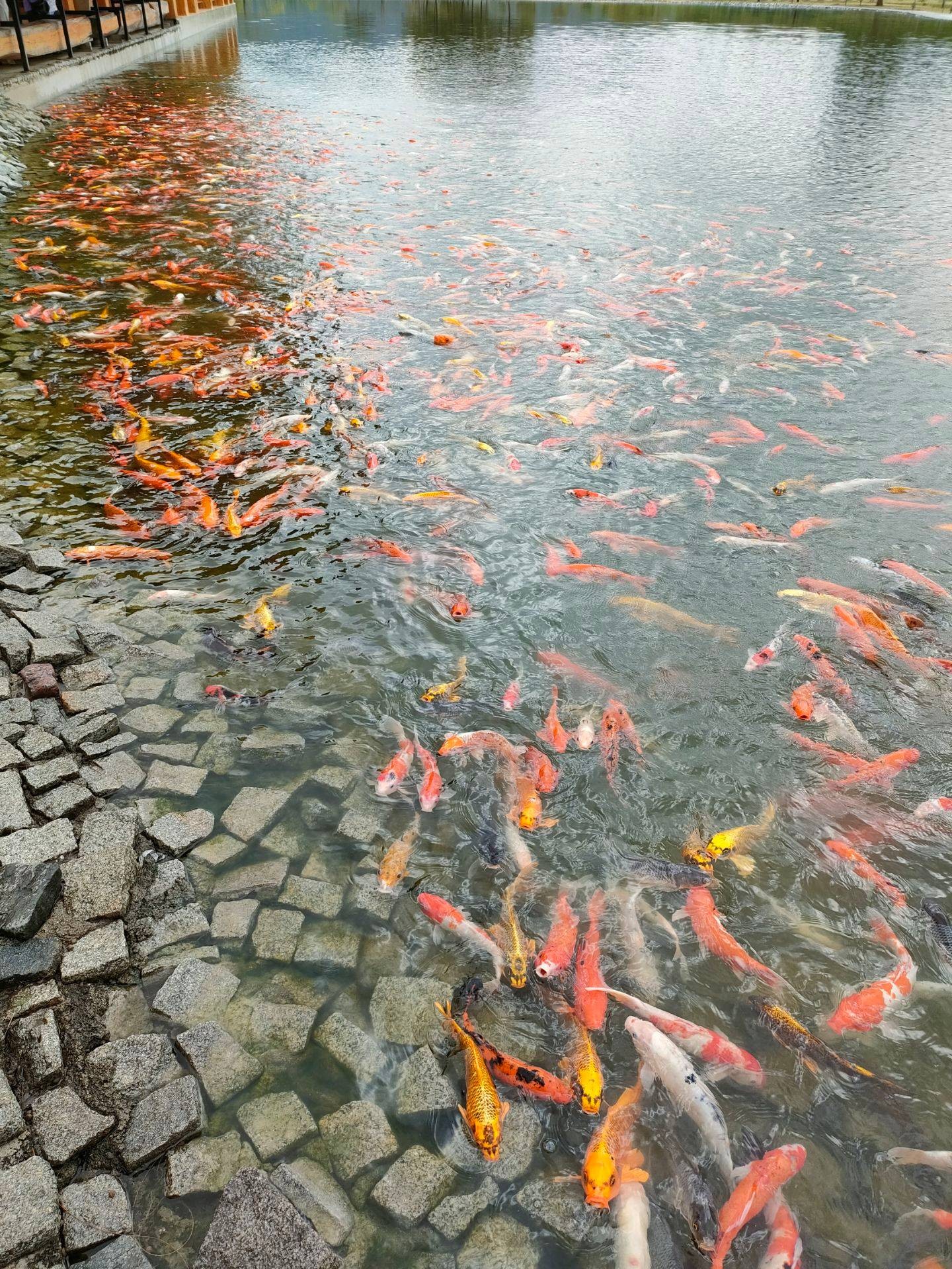 รูป Hinoki Land (ฮิโนกิแลนด์) ไชยปราการ Wongnai