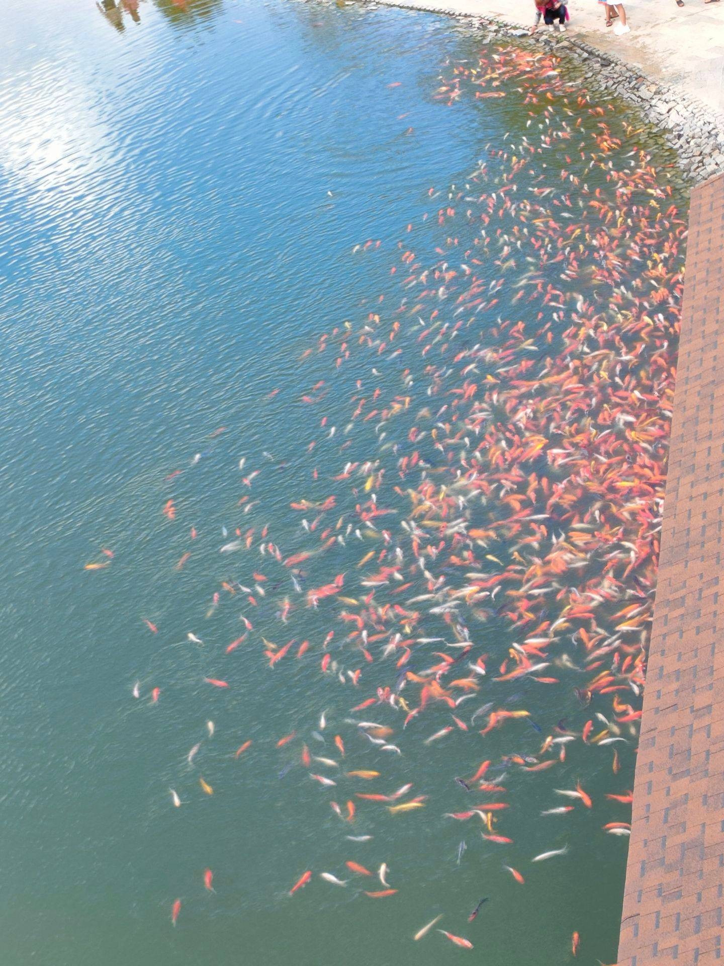 รูป Hinoki Land (ฮิโนกิแลนด์) ไชยปราการ Wongnai