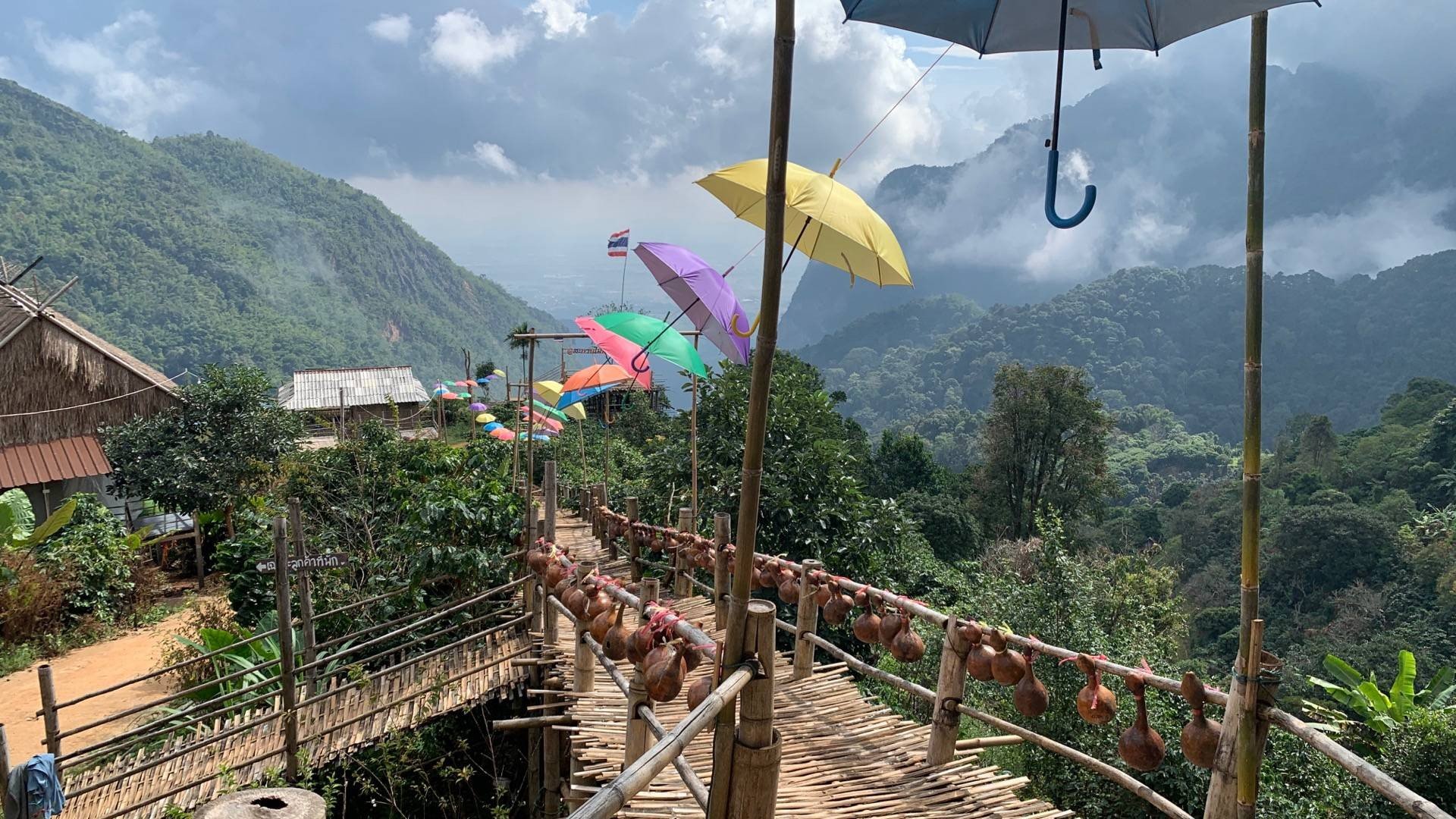 รูป Bamboo Walk ( สะพานไม้ไผ่ไร่ผาฮี้ )