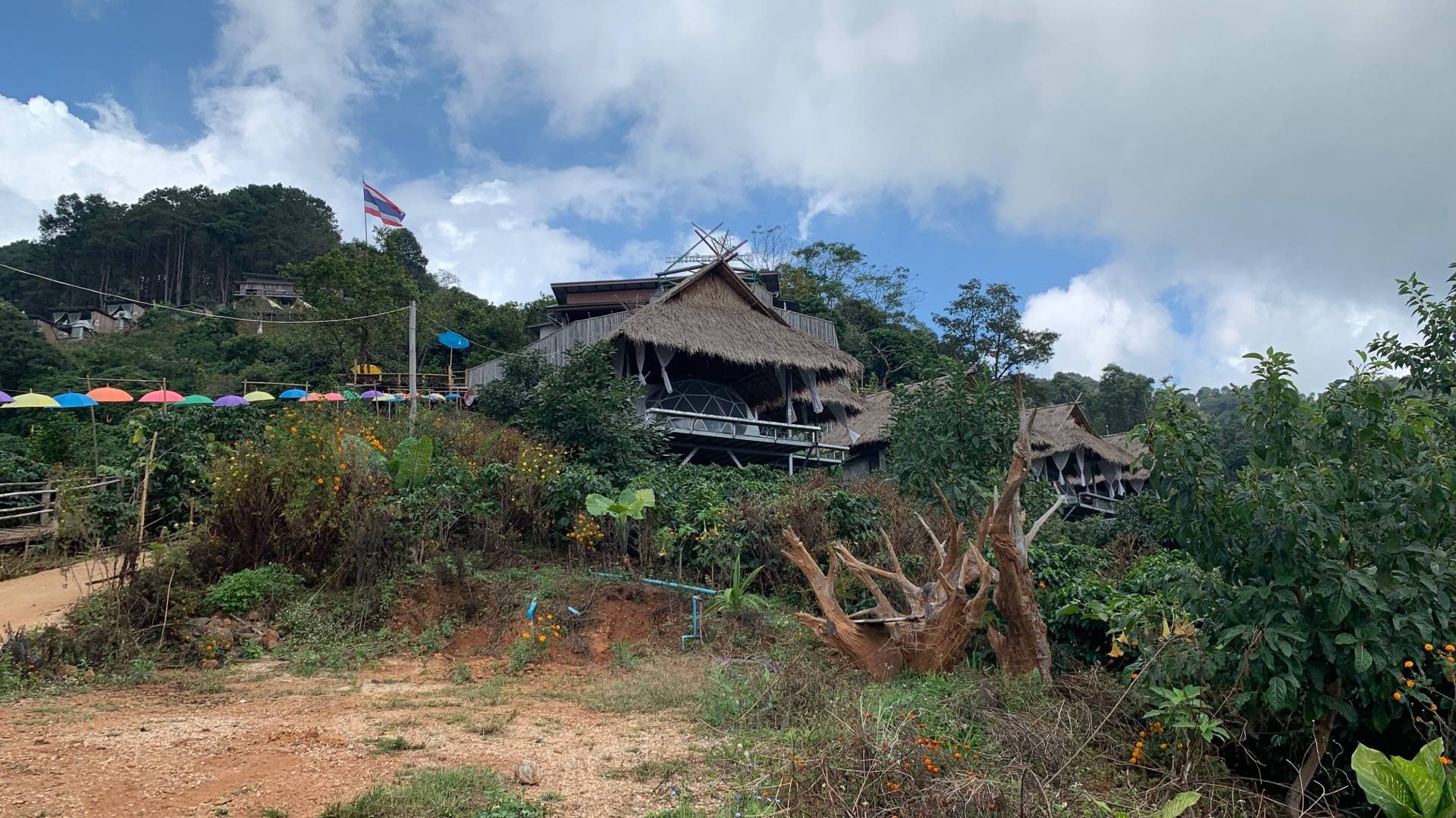 รูป Bamboo Walk ( สะพานไม้ไผ่ไร่ผาฮี้ )