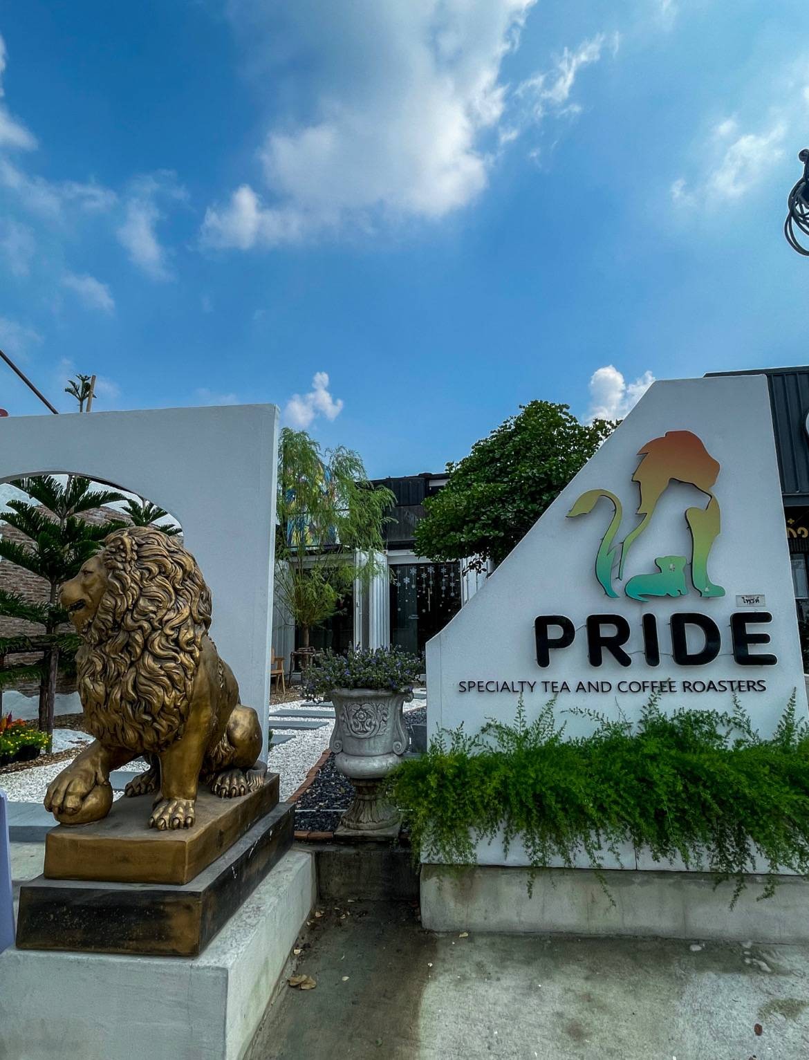 รีวิว PRIDE Specialty Tea & Coffee Roasters ราชพฤกษ์ Pride Specialty