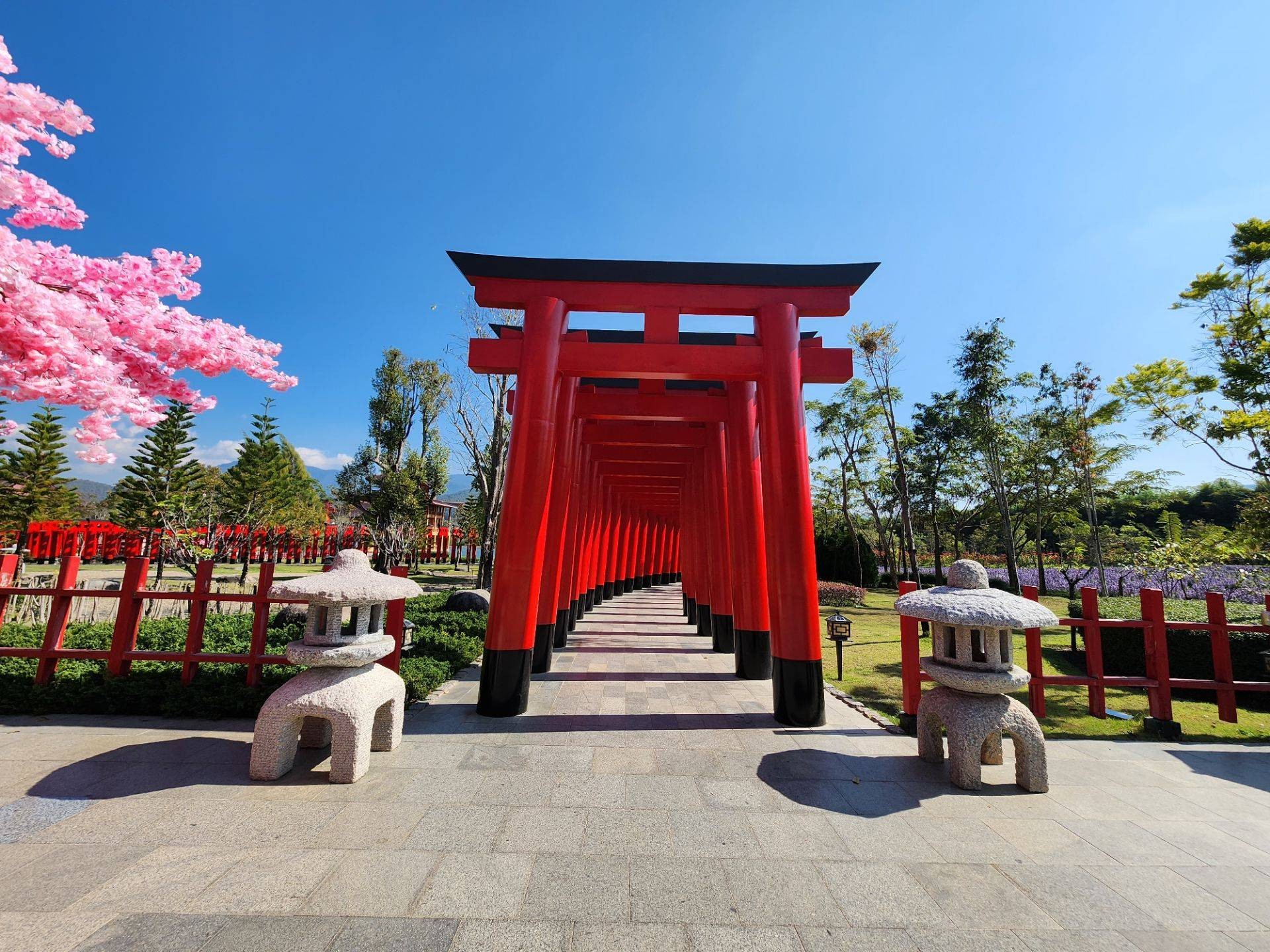 รูป Hinoki Land (ฮิโนกิแลนด์) ไชยปราการ