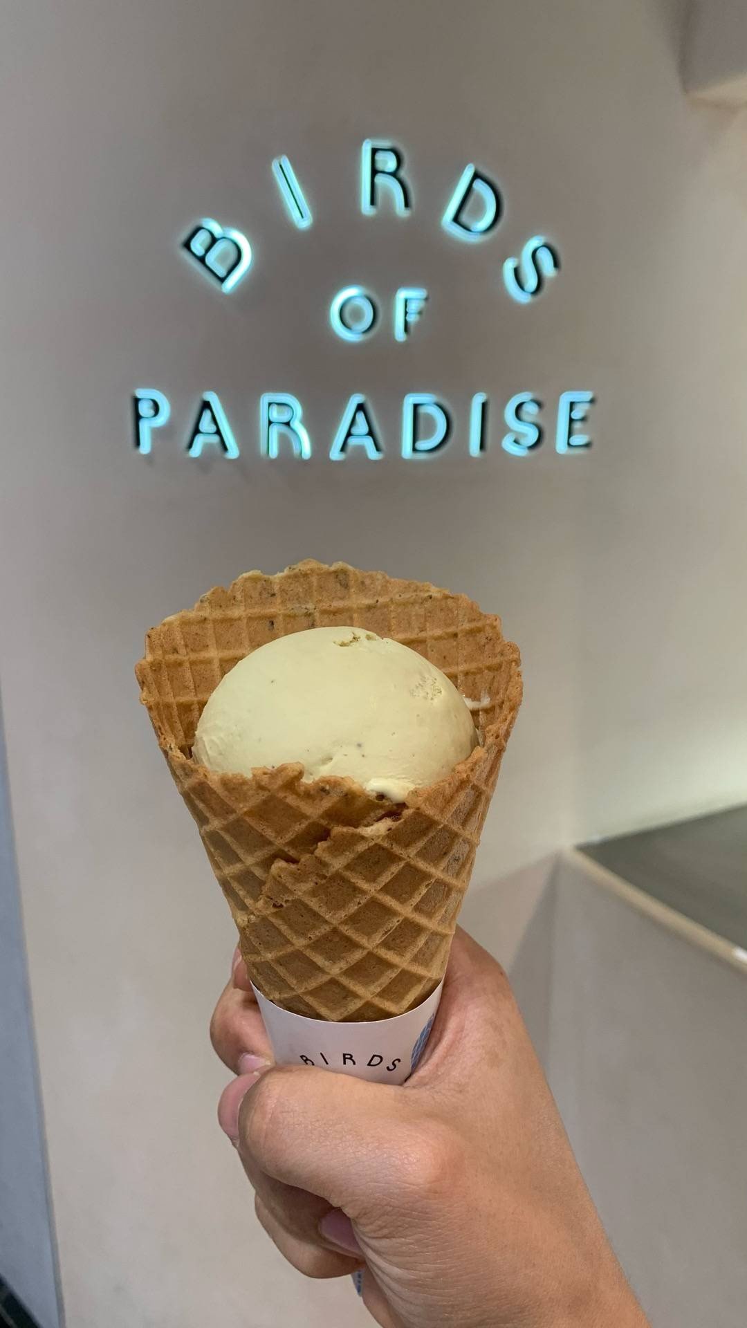 รีวิว Bird Of Paradise Gelato Boutique Jewel ร้านไอศกรีมเจ้าดัง สาขา